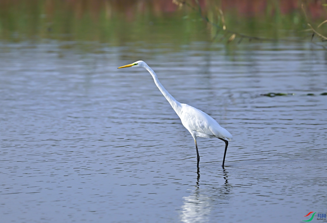 _DSC4293f.jpg