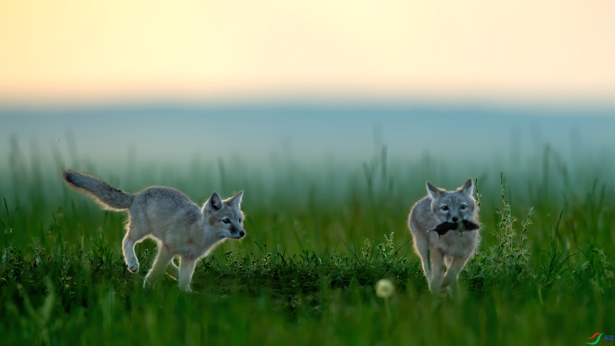 _DSC4328.jpg�ջ�_����.jpg