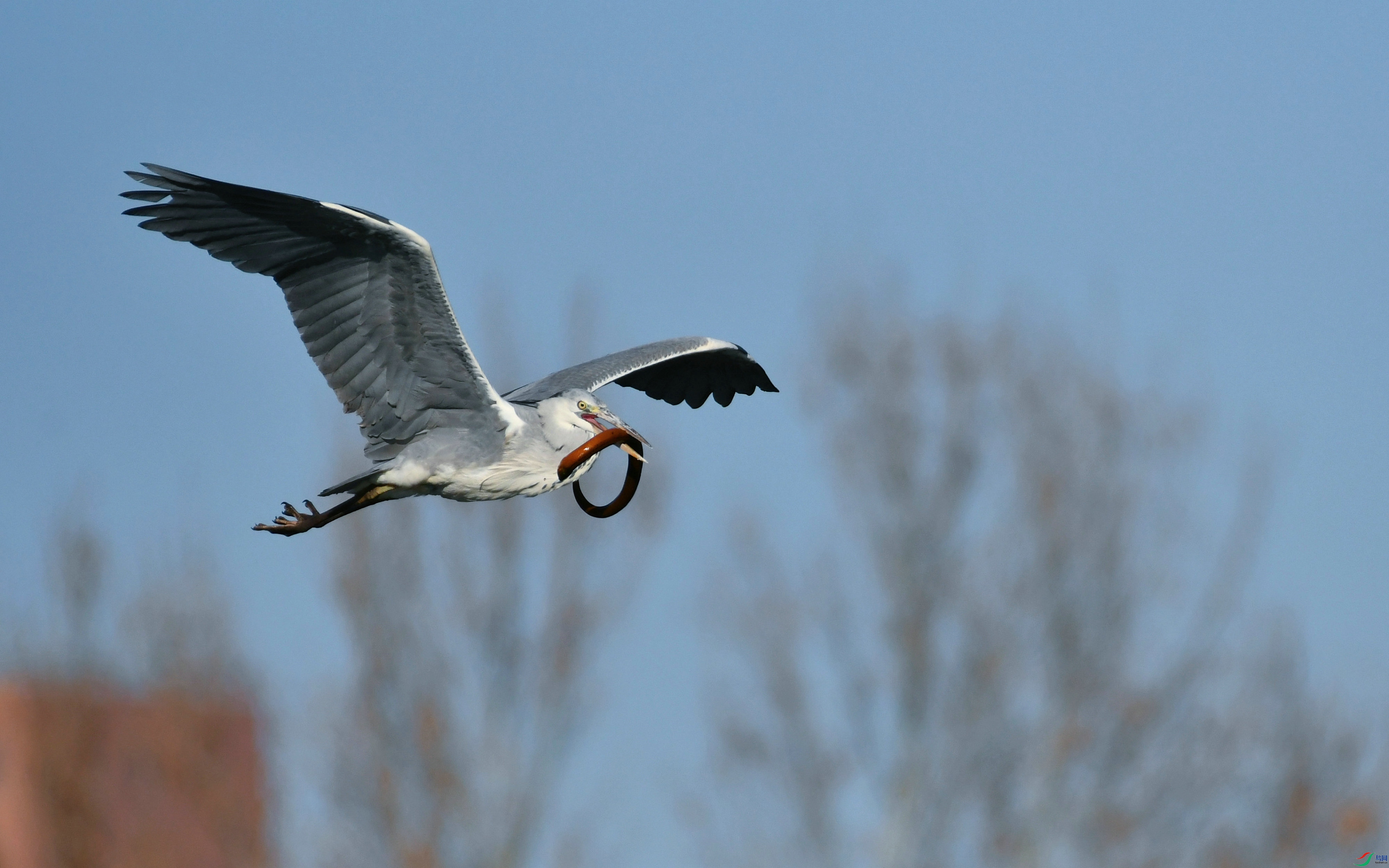 DSC_1250.JPG