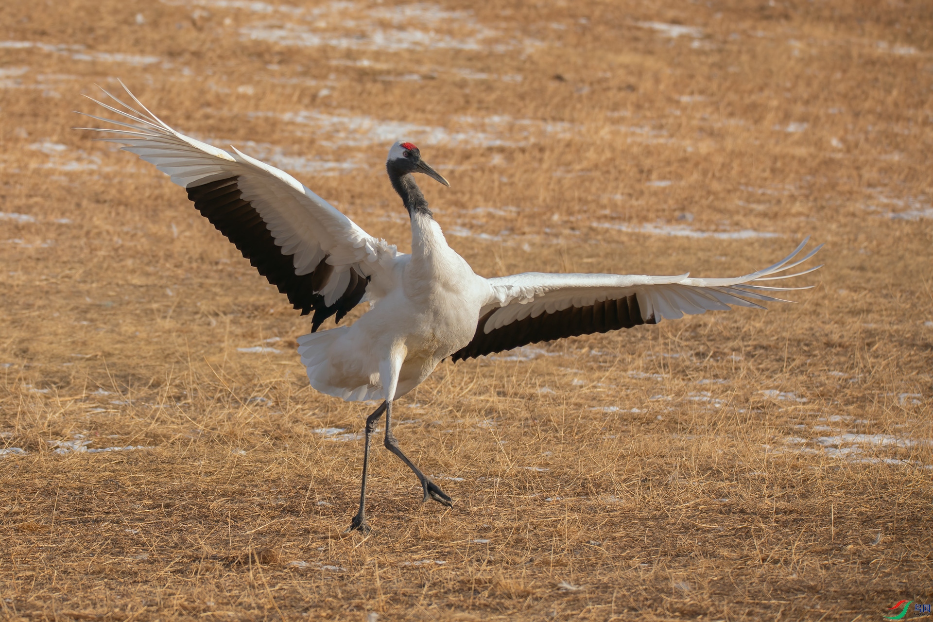 073A9546 _����.jpg