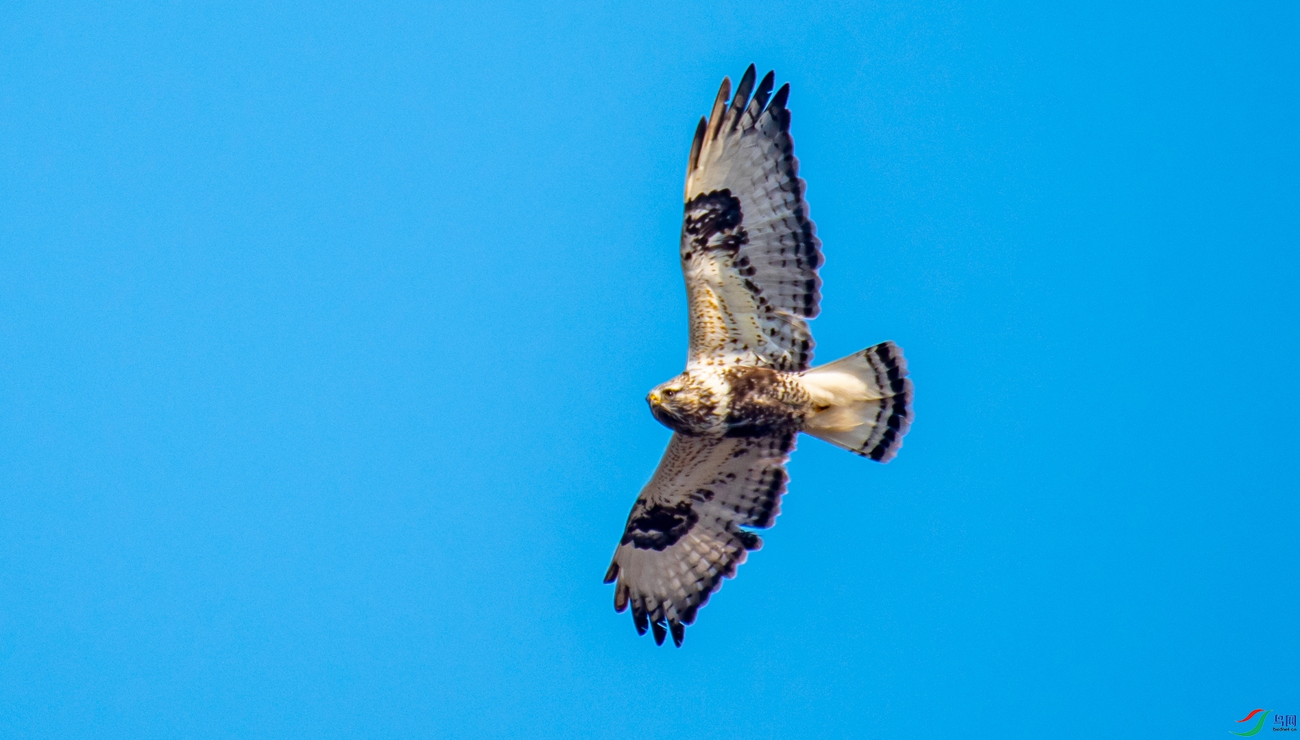 DSC_5398.jpg