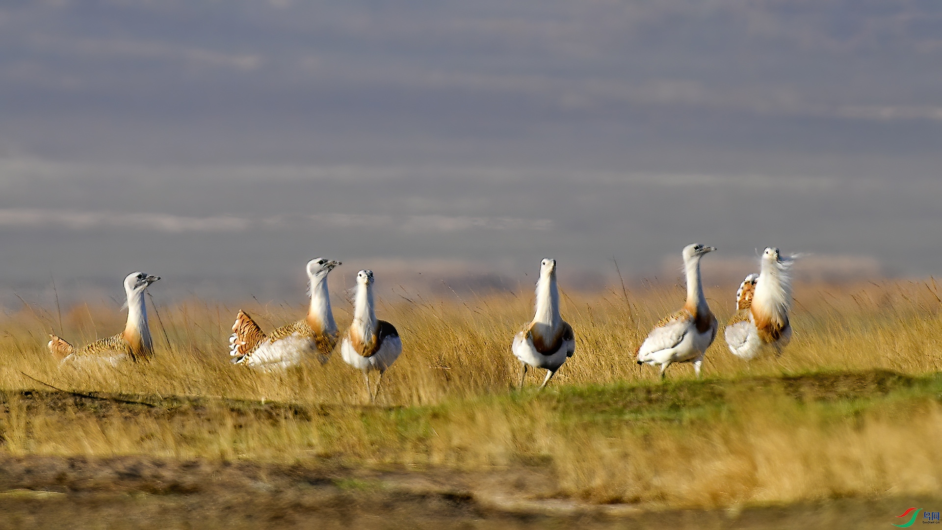 DSC_20nn69.jpg