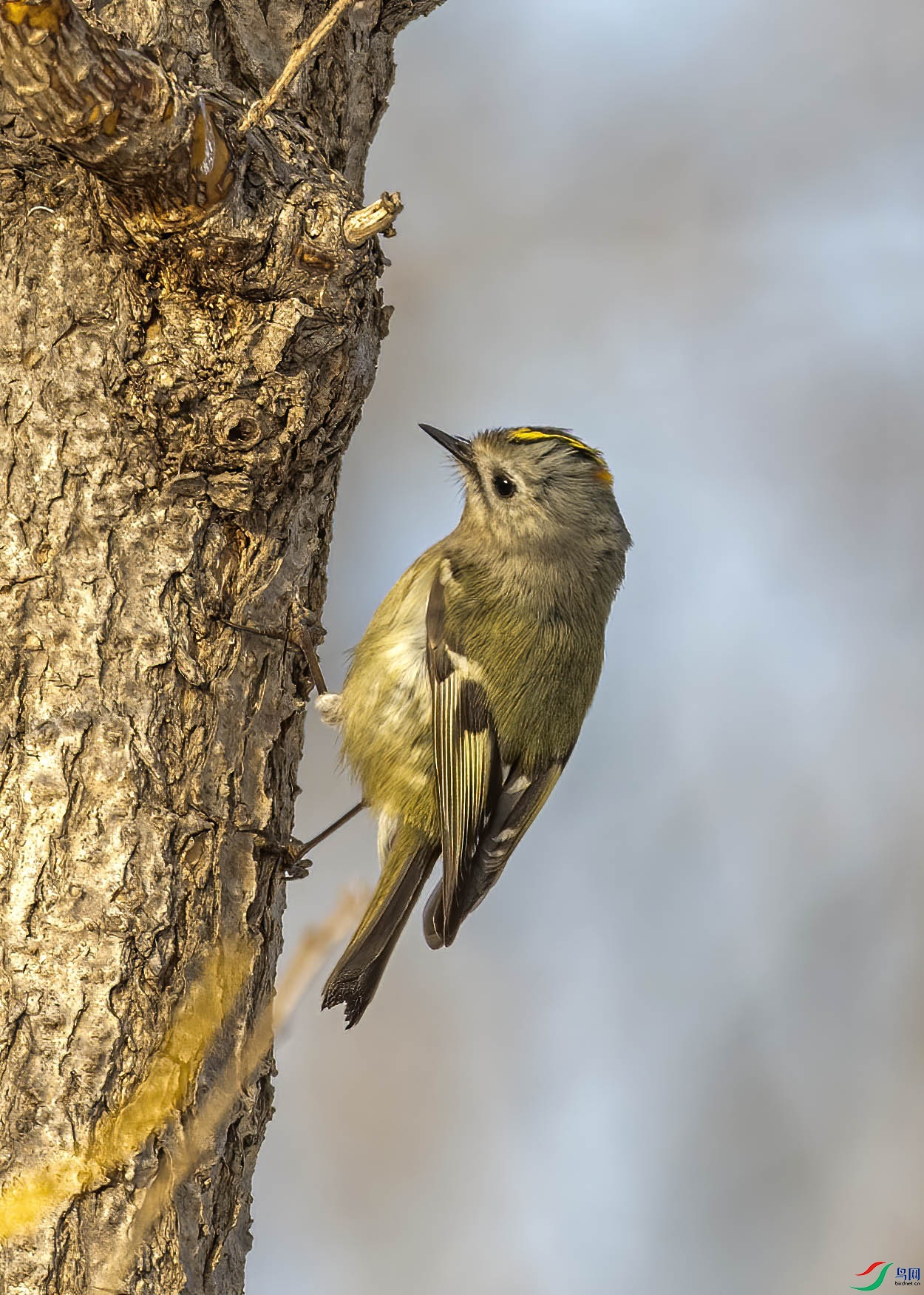 DSC_8988 ����.jpg