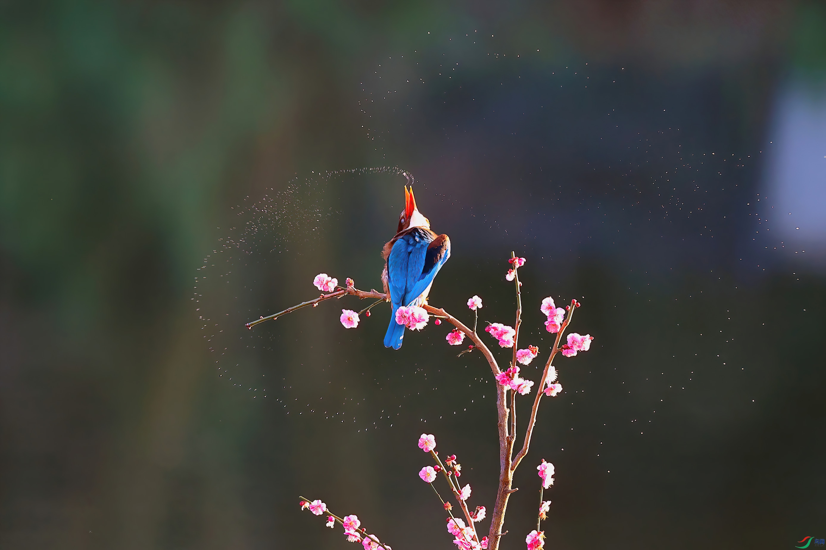 ��ӣ����������ˮ