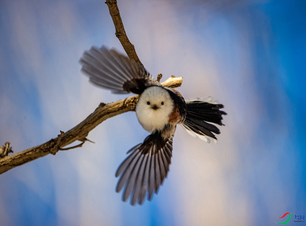 DSC_3137 ����_����_����.jpg