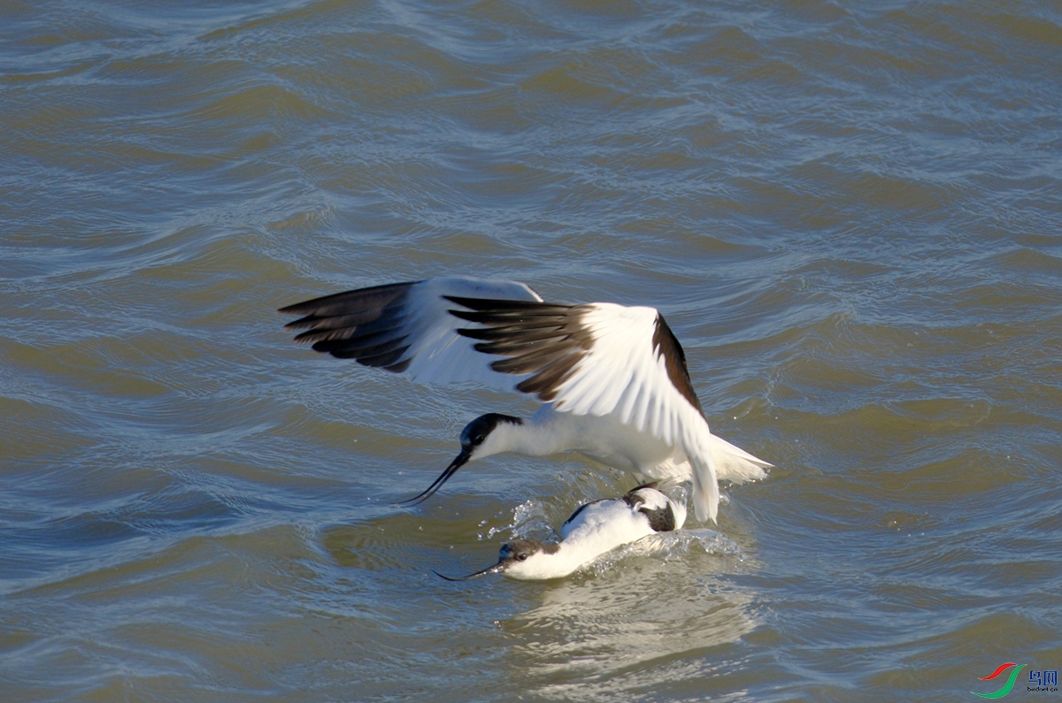 DSCF2393.jpg