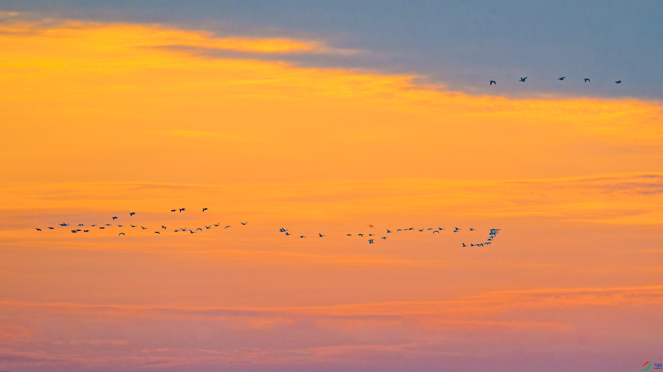 DSC_5915_DxO.jpg