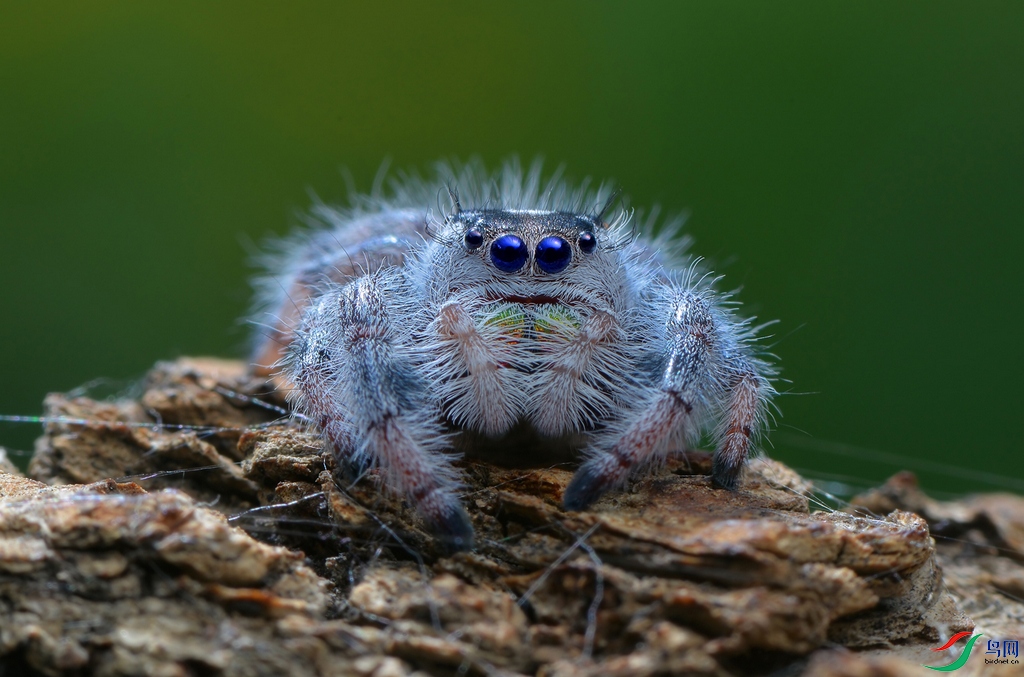 DSC_2158 ����.jpg