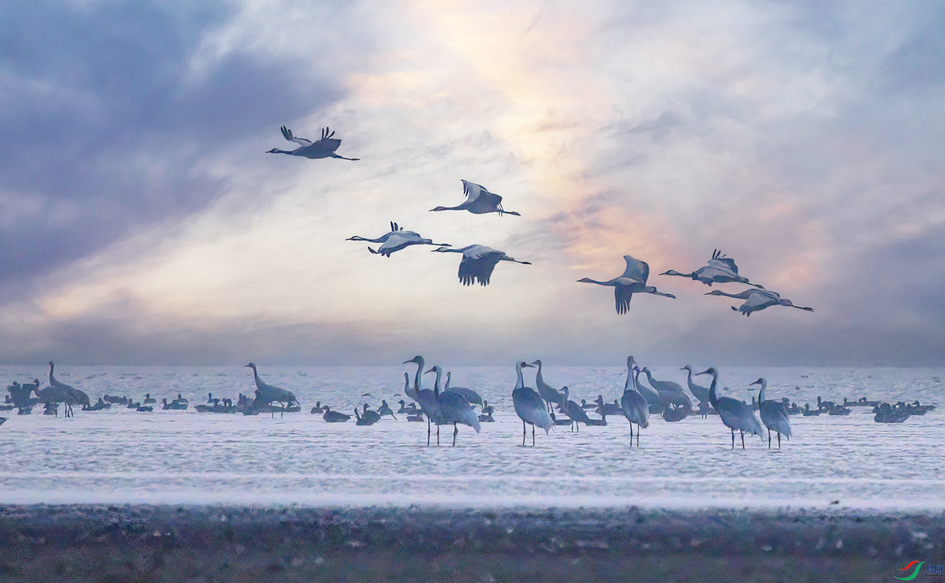 407A9459-Sh----11  .jpg