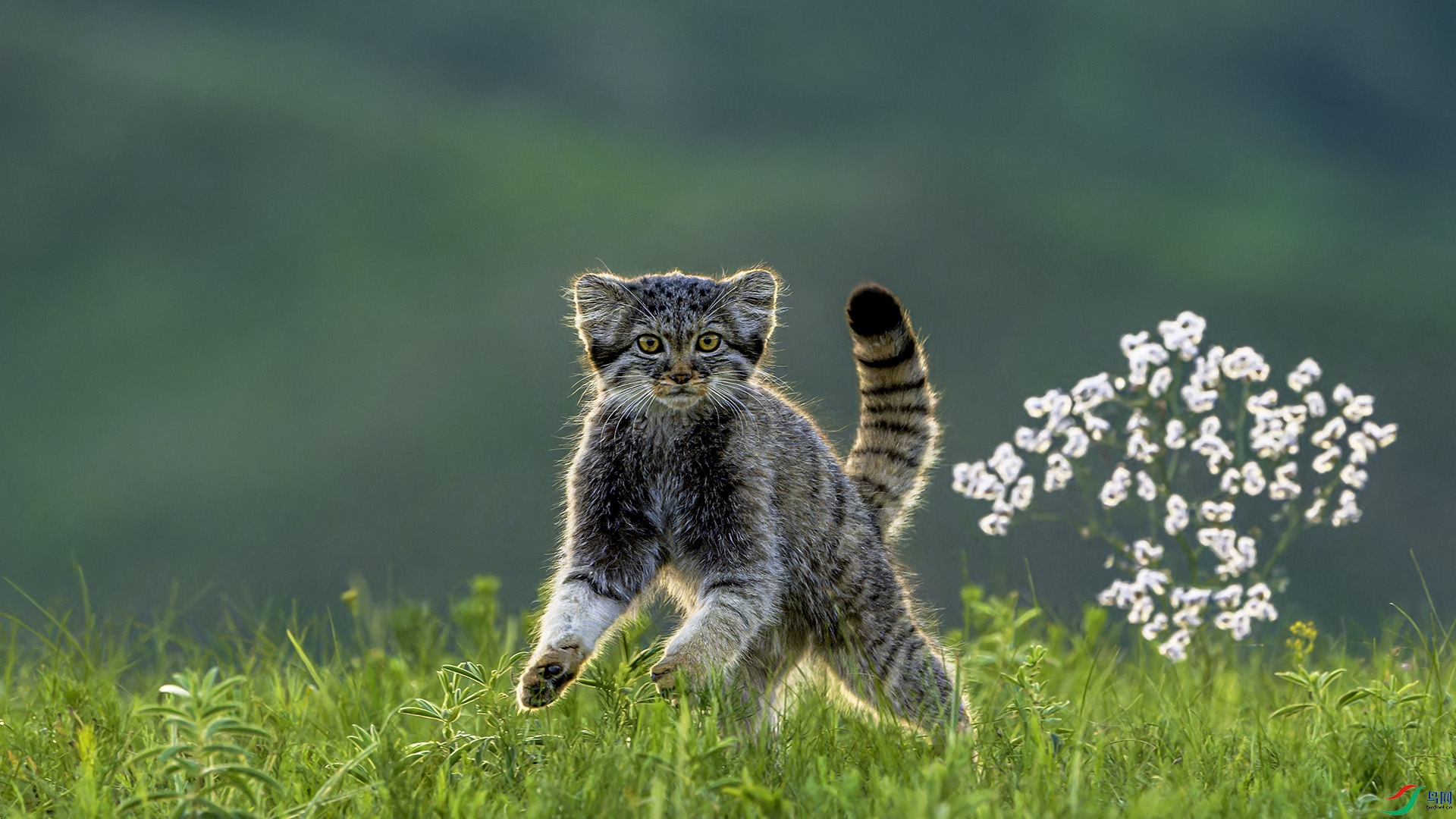 _CYG7729-NEF_DxO_DeepPRIMEXD ����.jpg