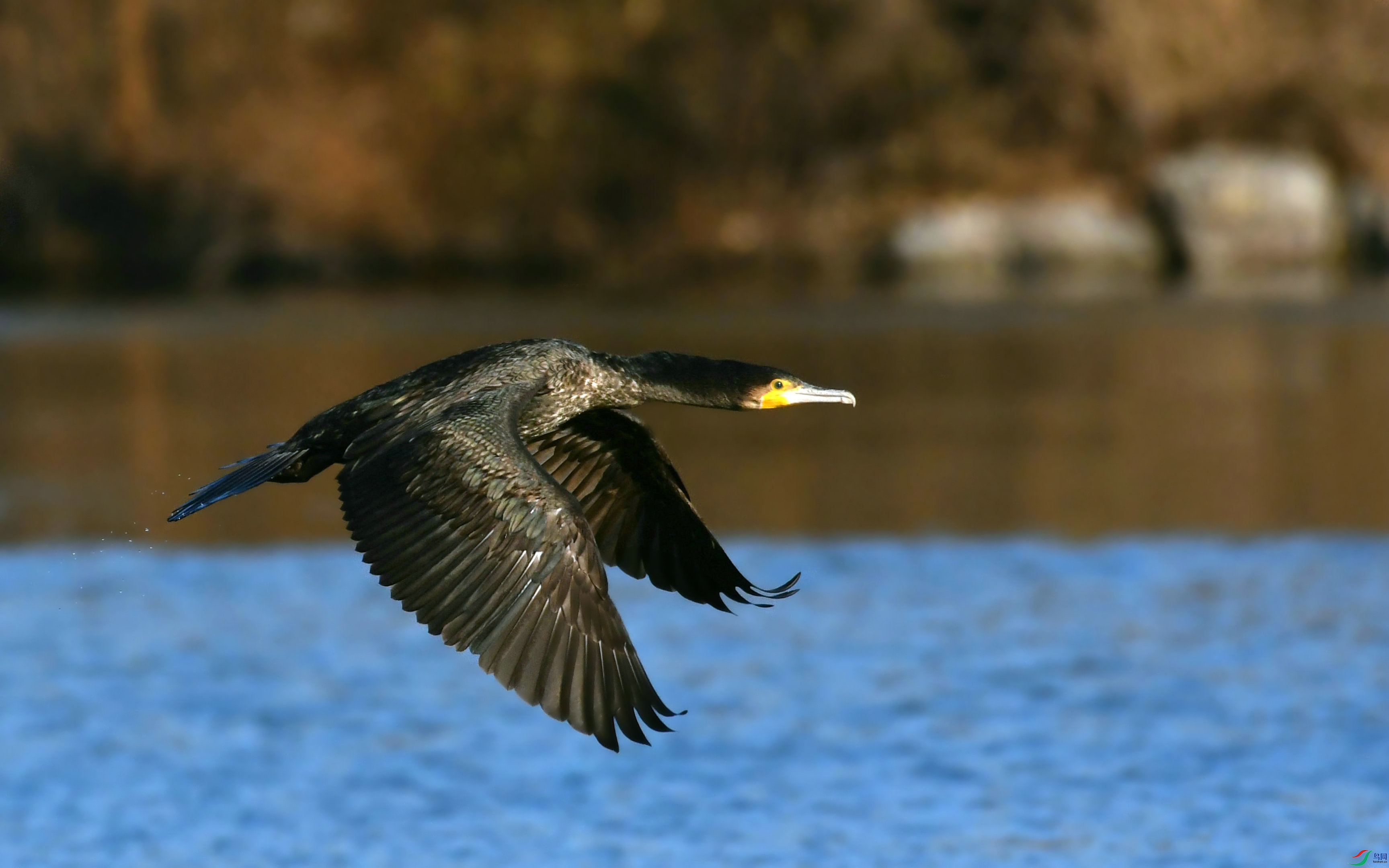 DSC_1189.JPG