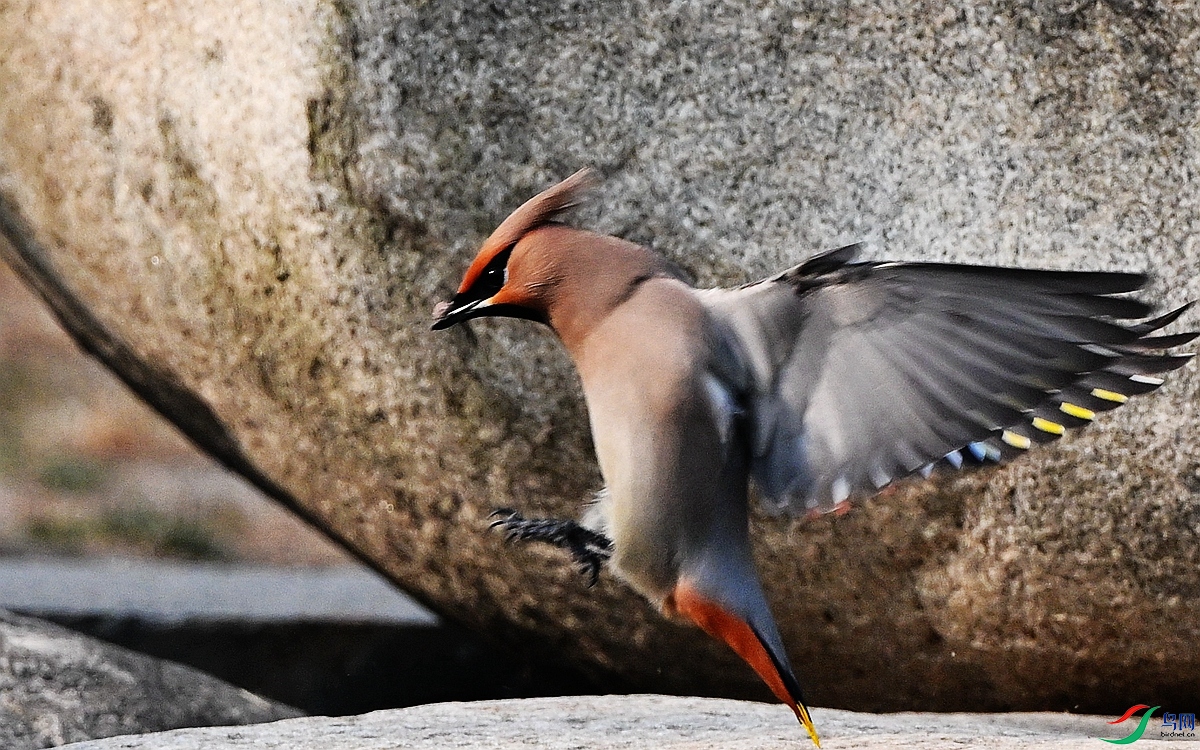 DSC_6115_����.jpg