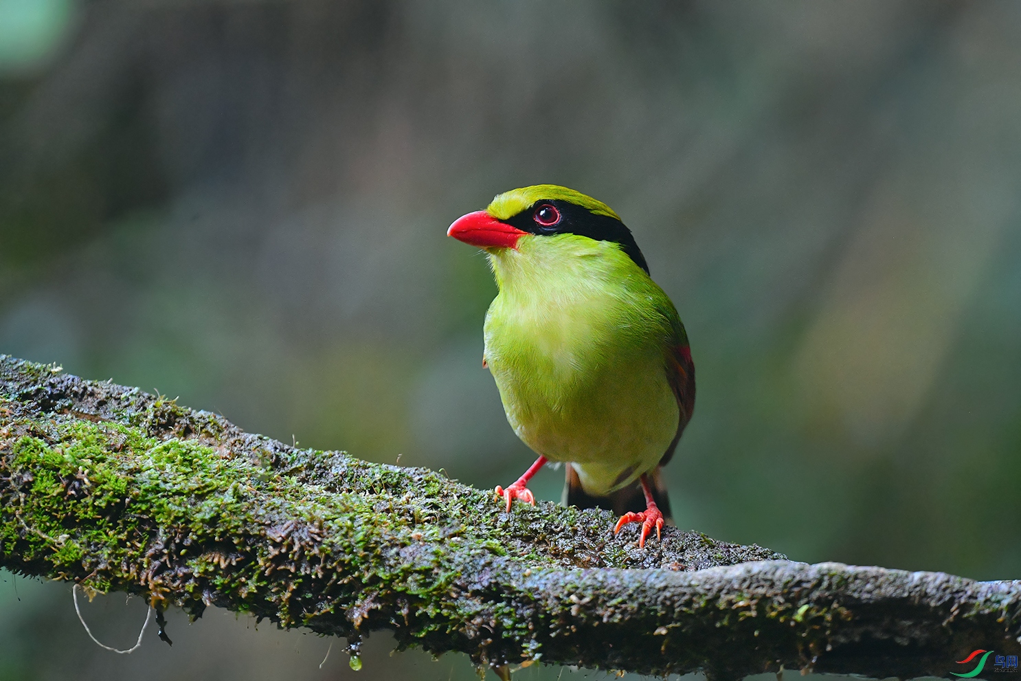 DSC_1110_DxOa.jpg