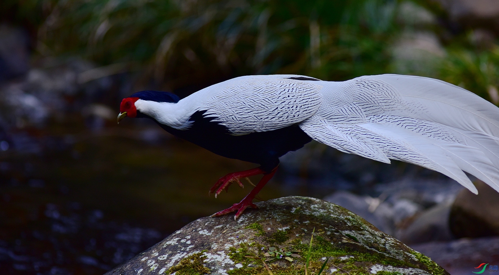 D8I_0083.jpg