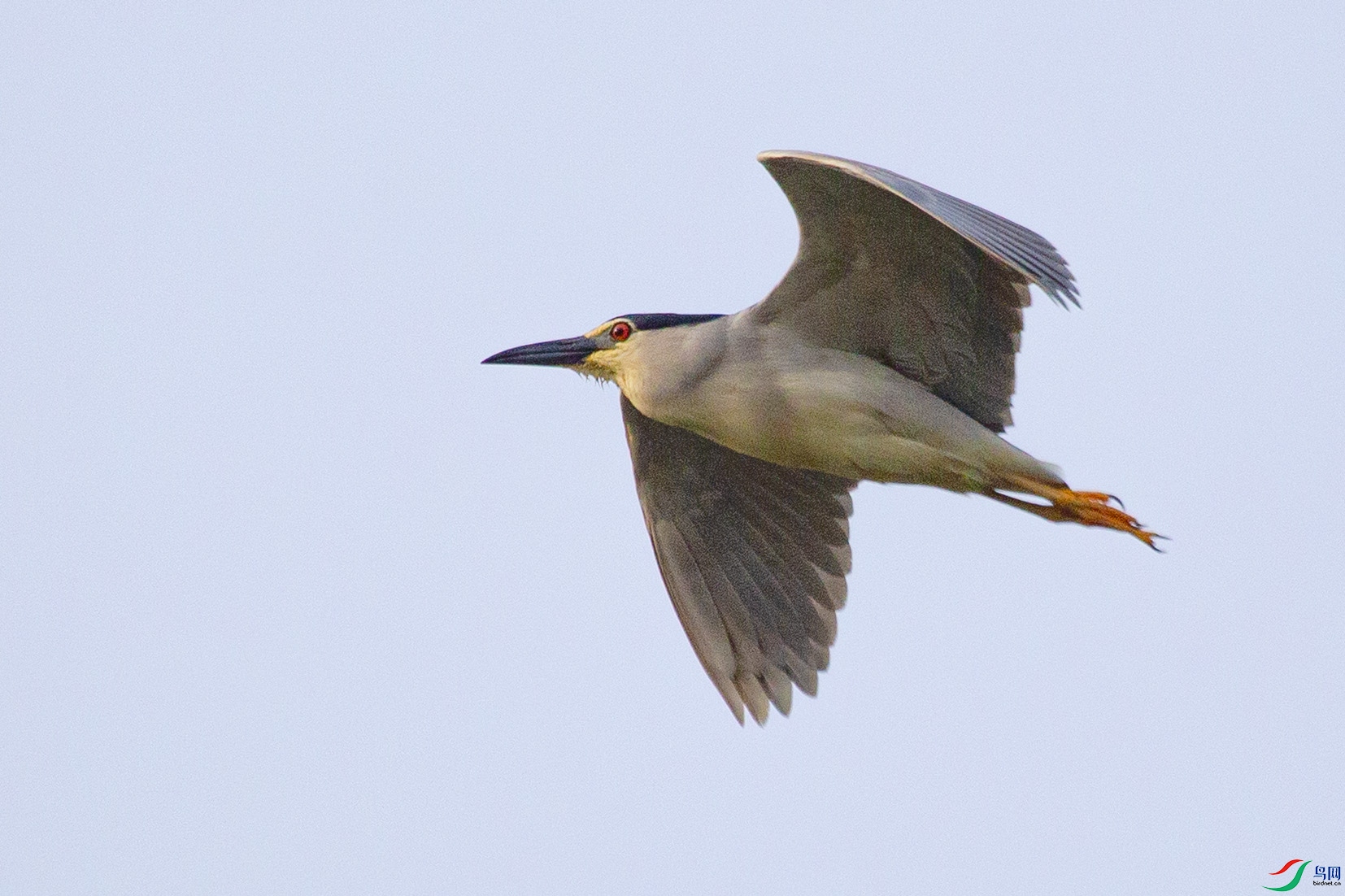 _MG_1678 ����.jpg