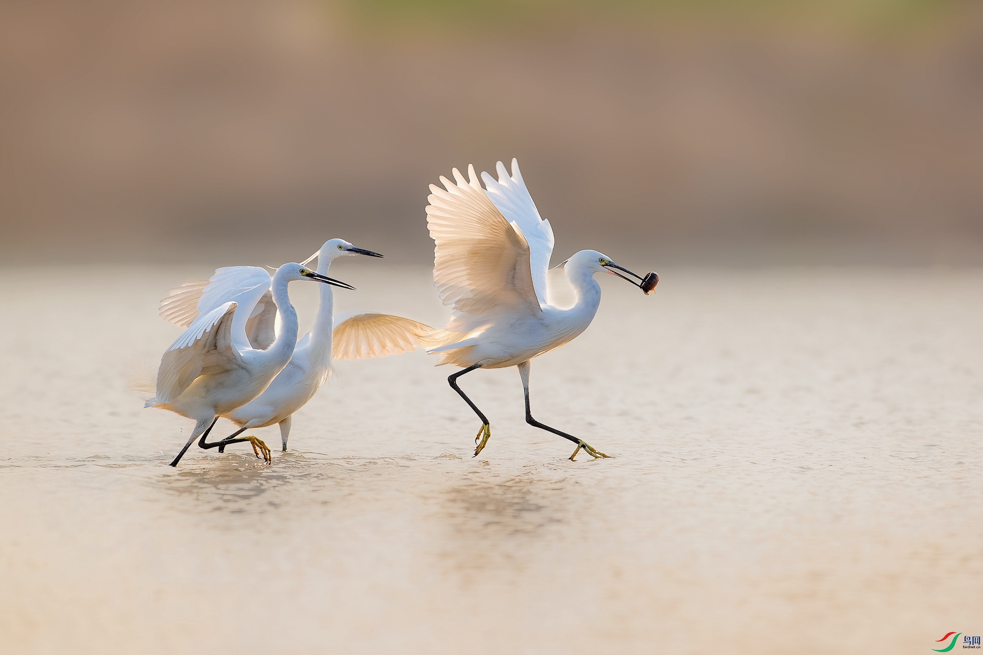 BE5I1026 ����_2.jpg