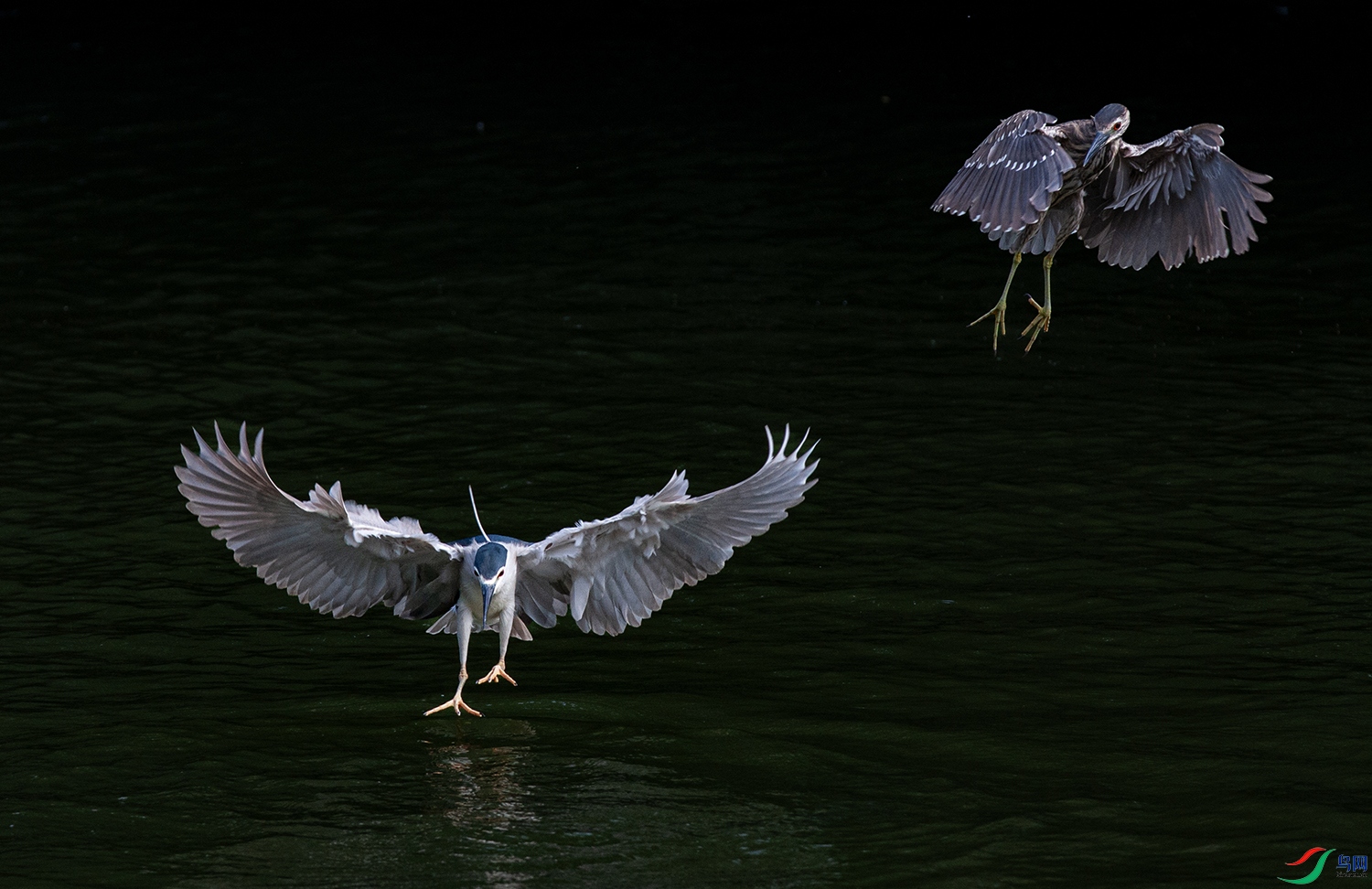 IMG_0026b.jpg