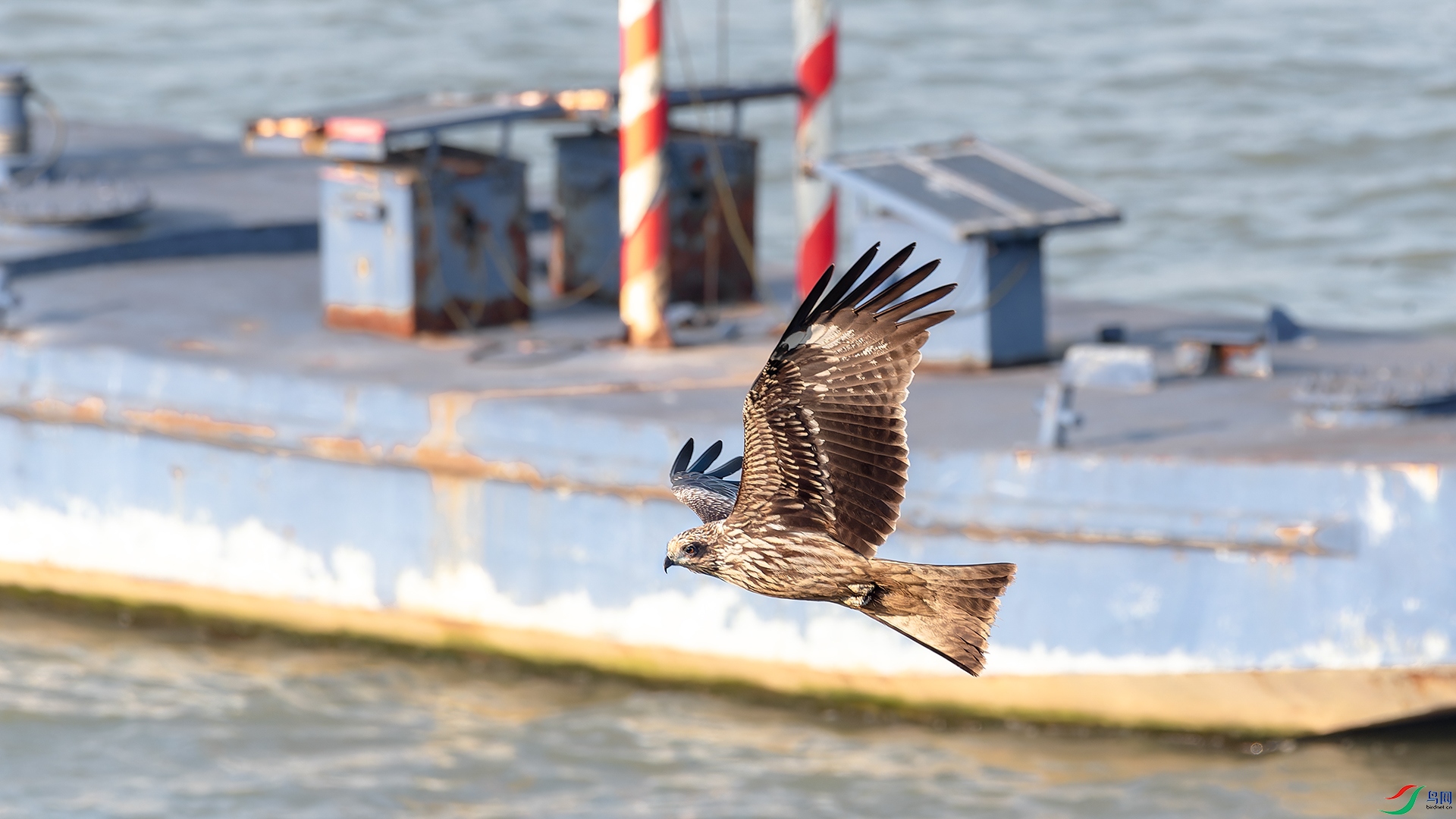 DSC_8396.jpg