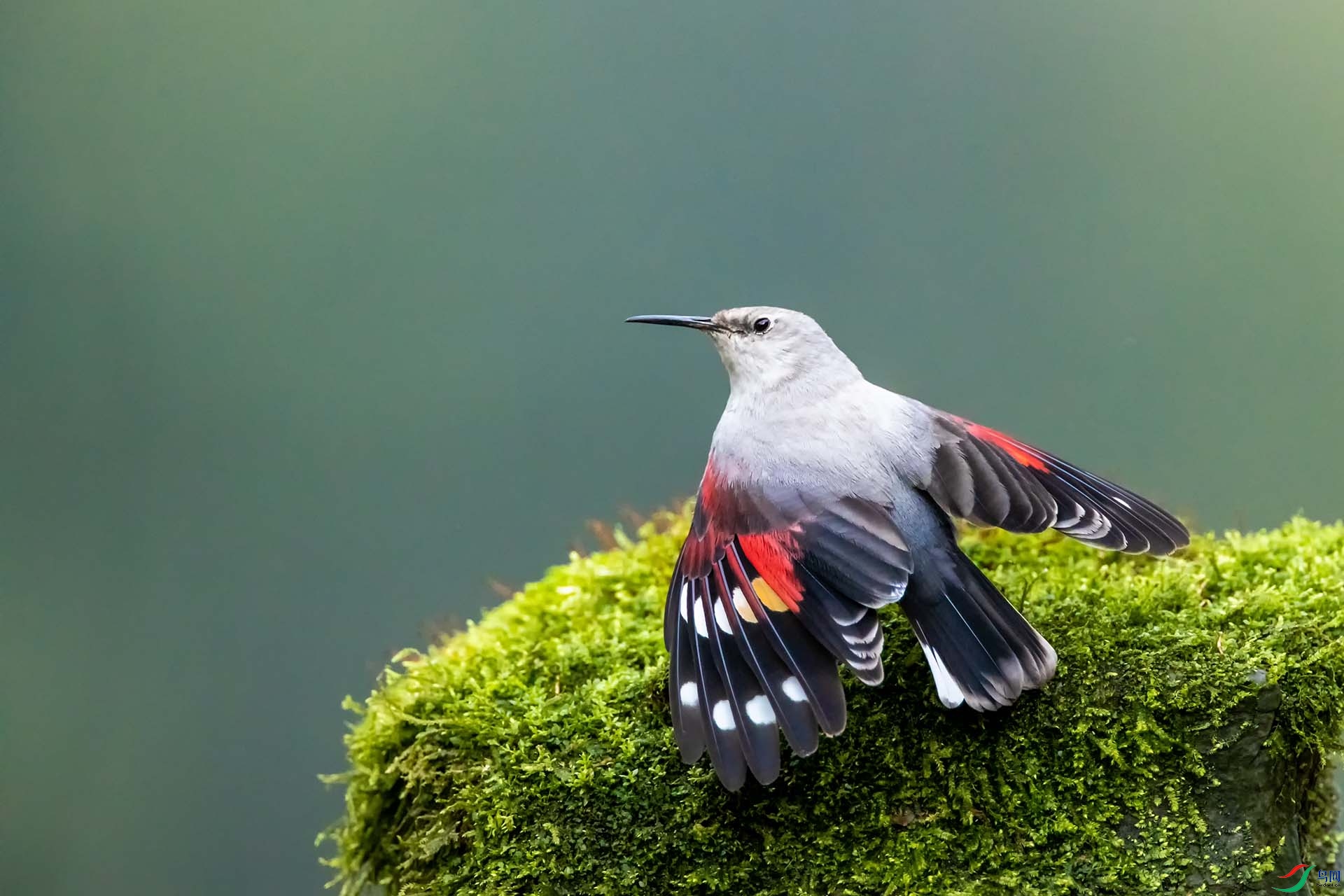 �������ȸ