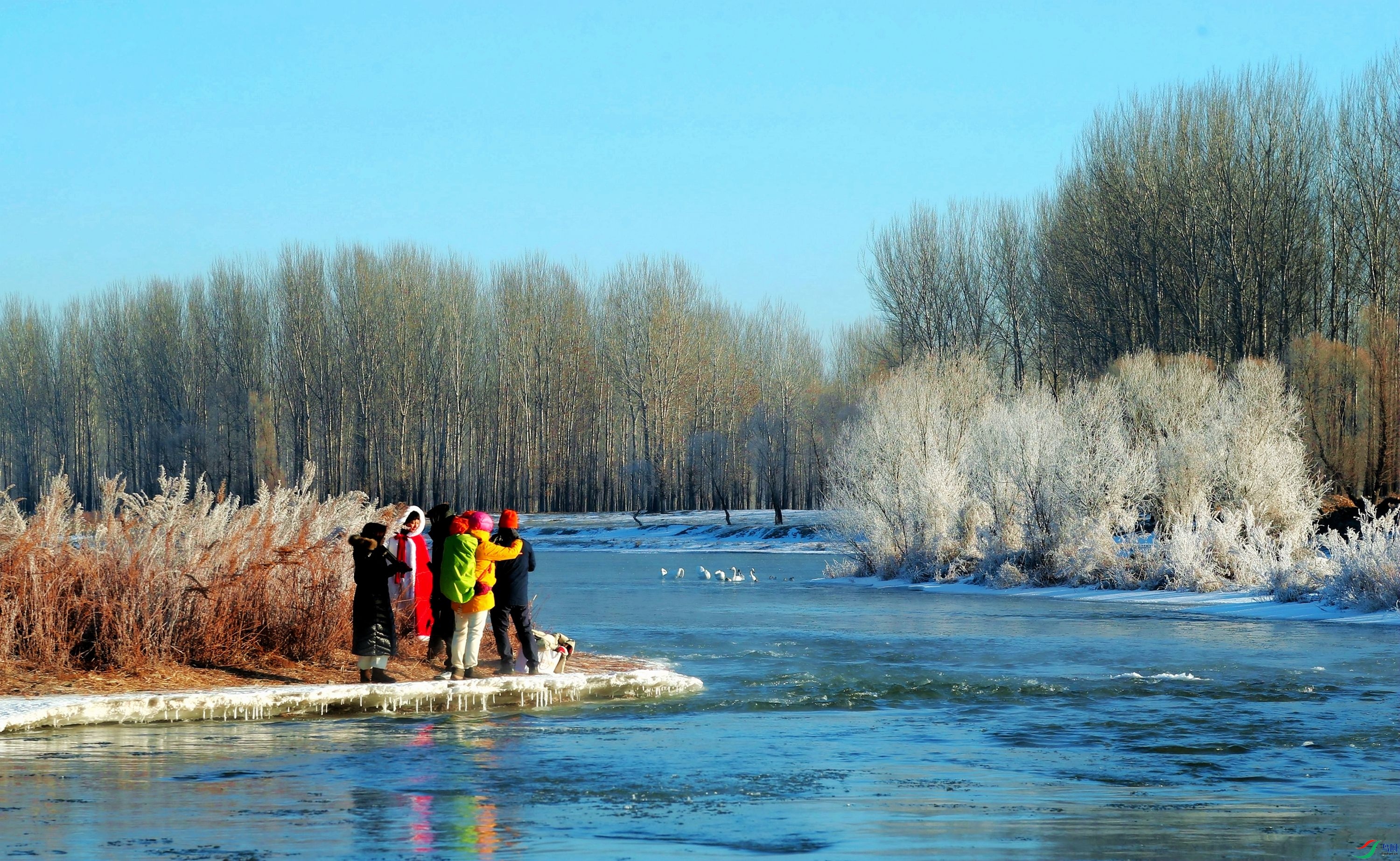 AK2Y8410_3000.jpg