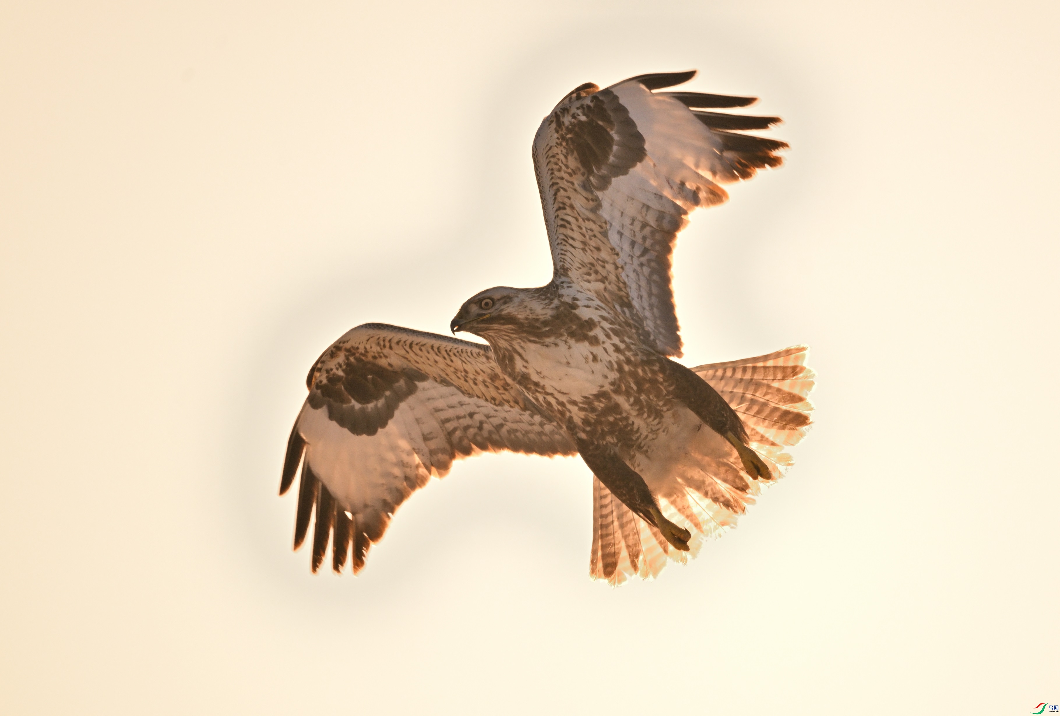 DSC_6364.JPG