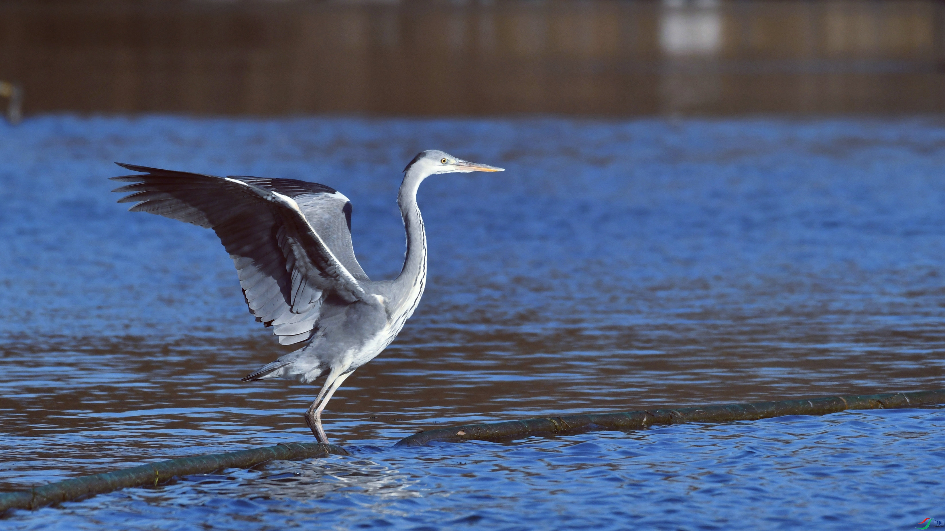 DSC_1205.JPG