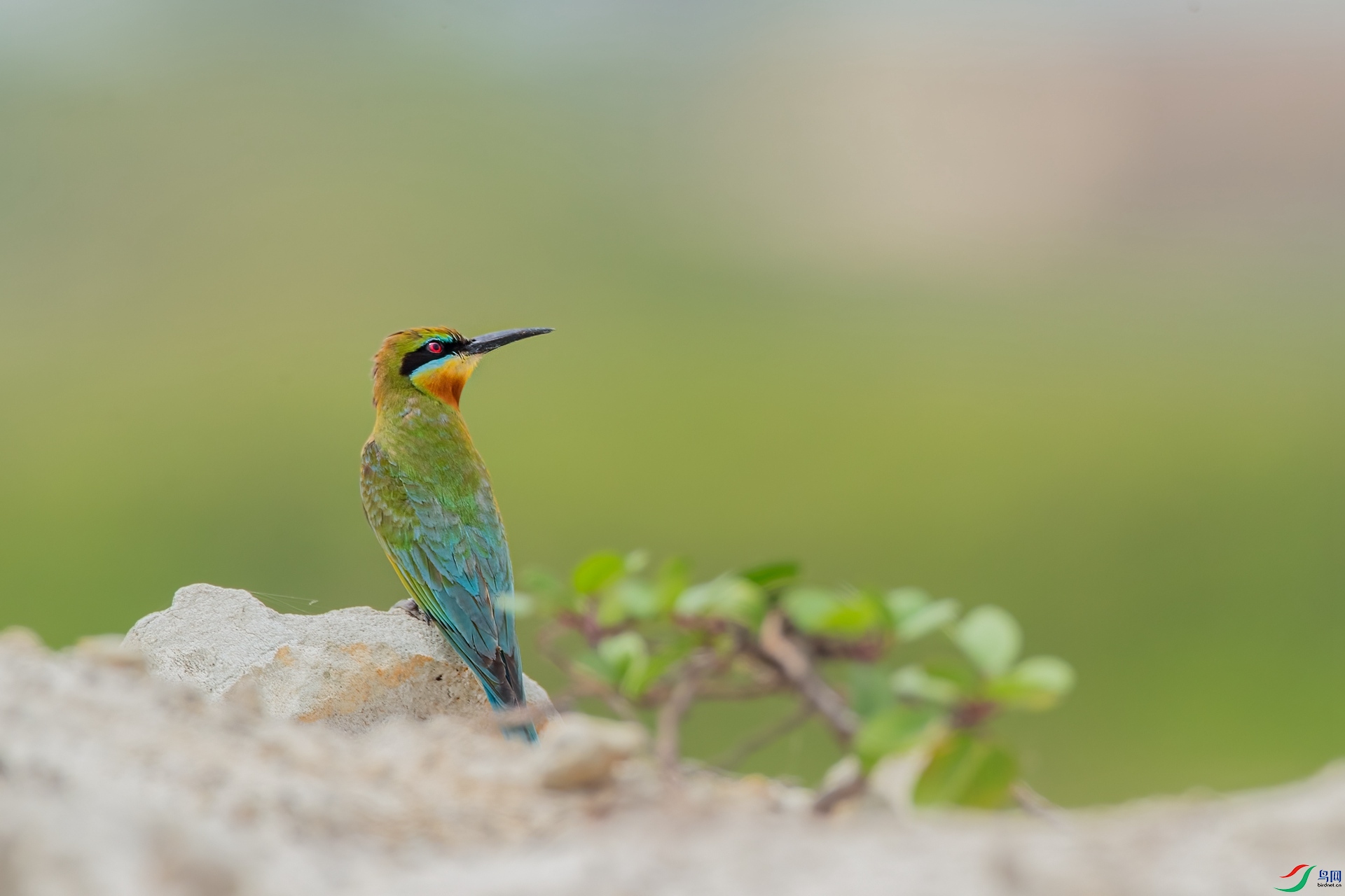 B86I4528 _����.jpg