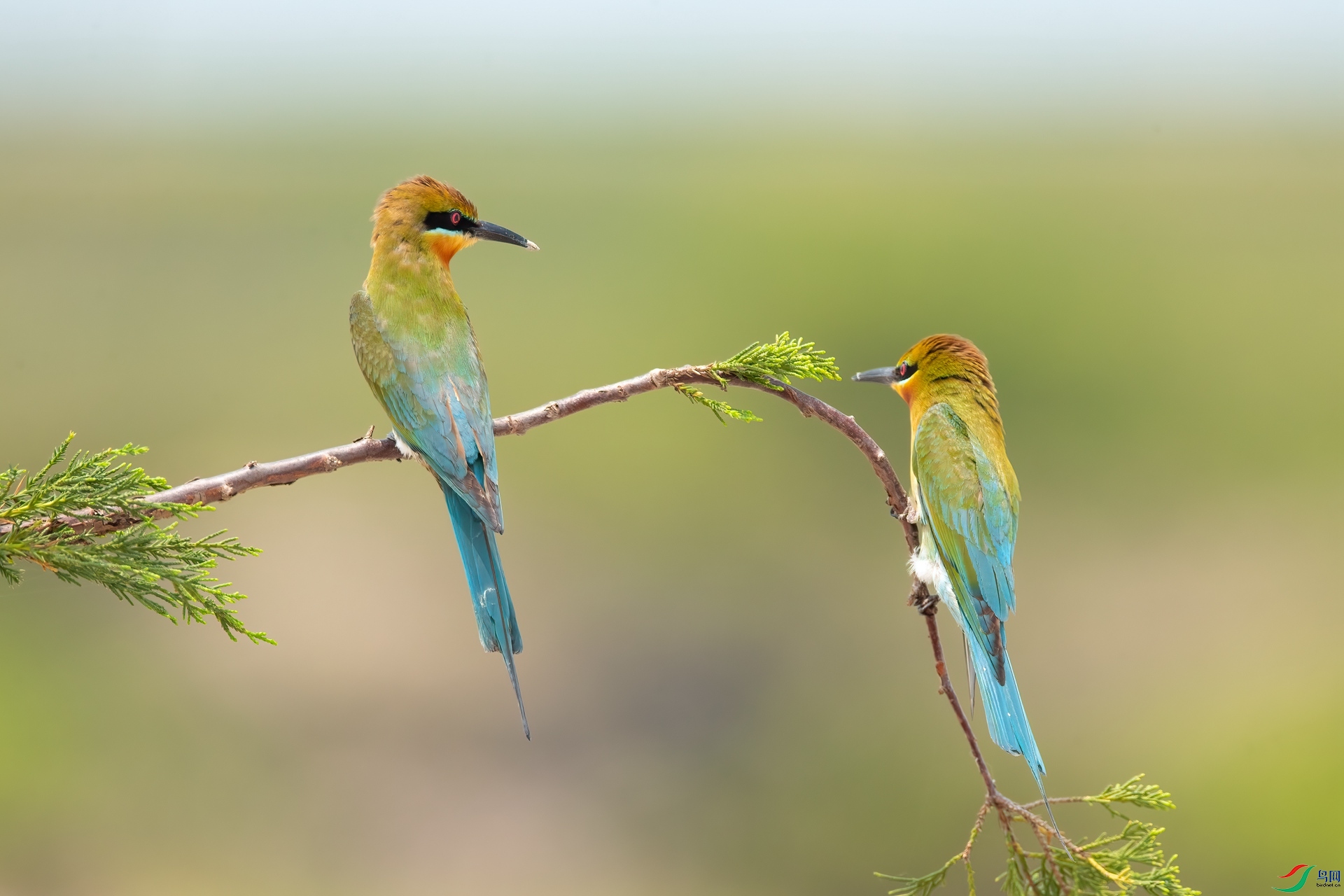 B86I7737 _����.jpg