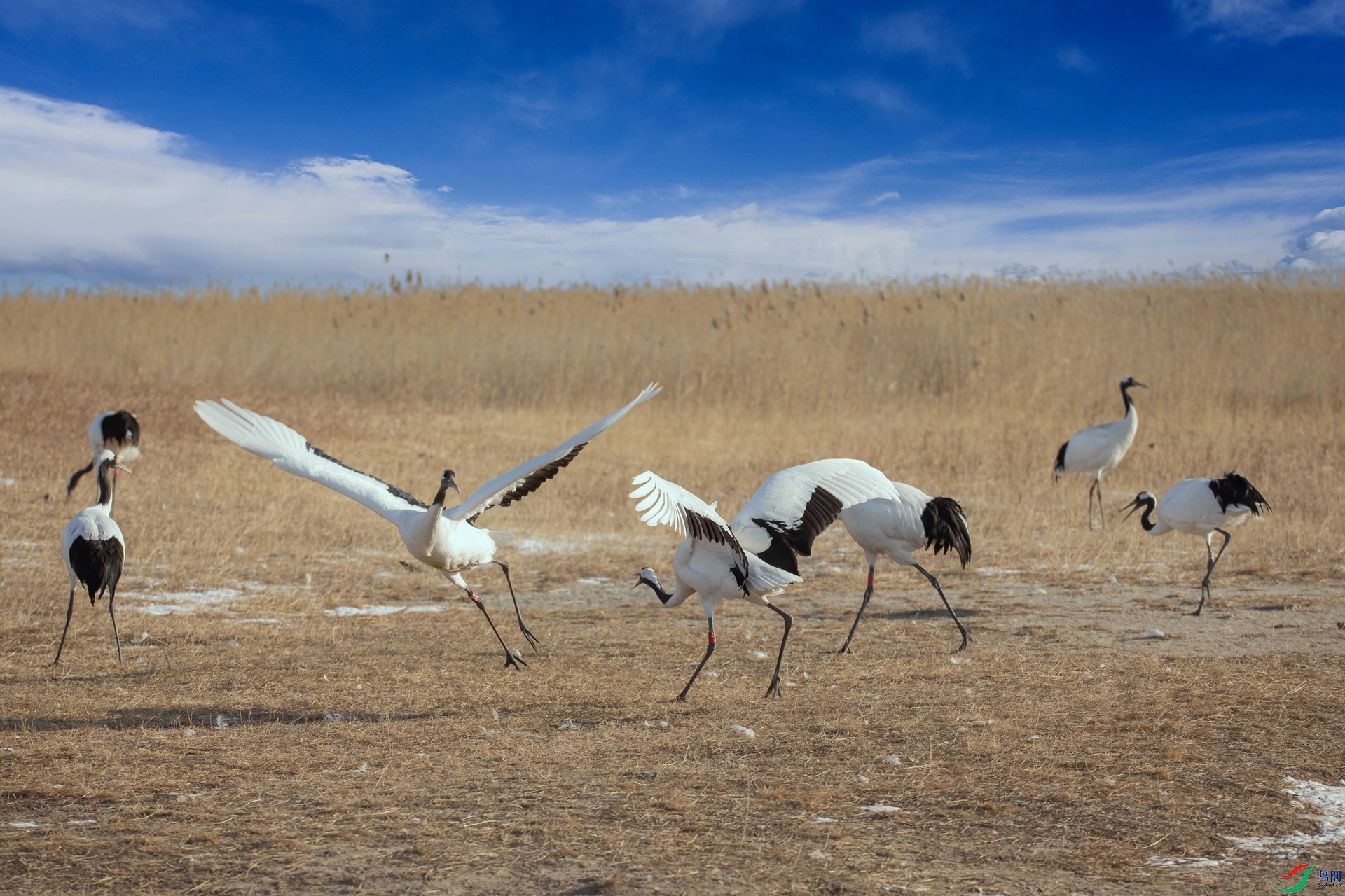 073A9515 _����.jpg