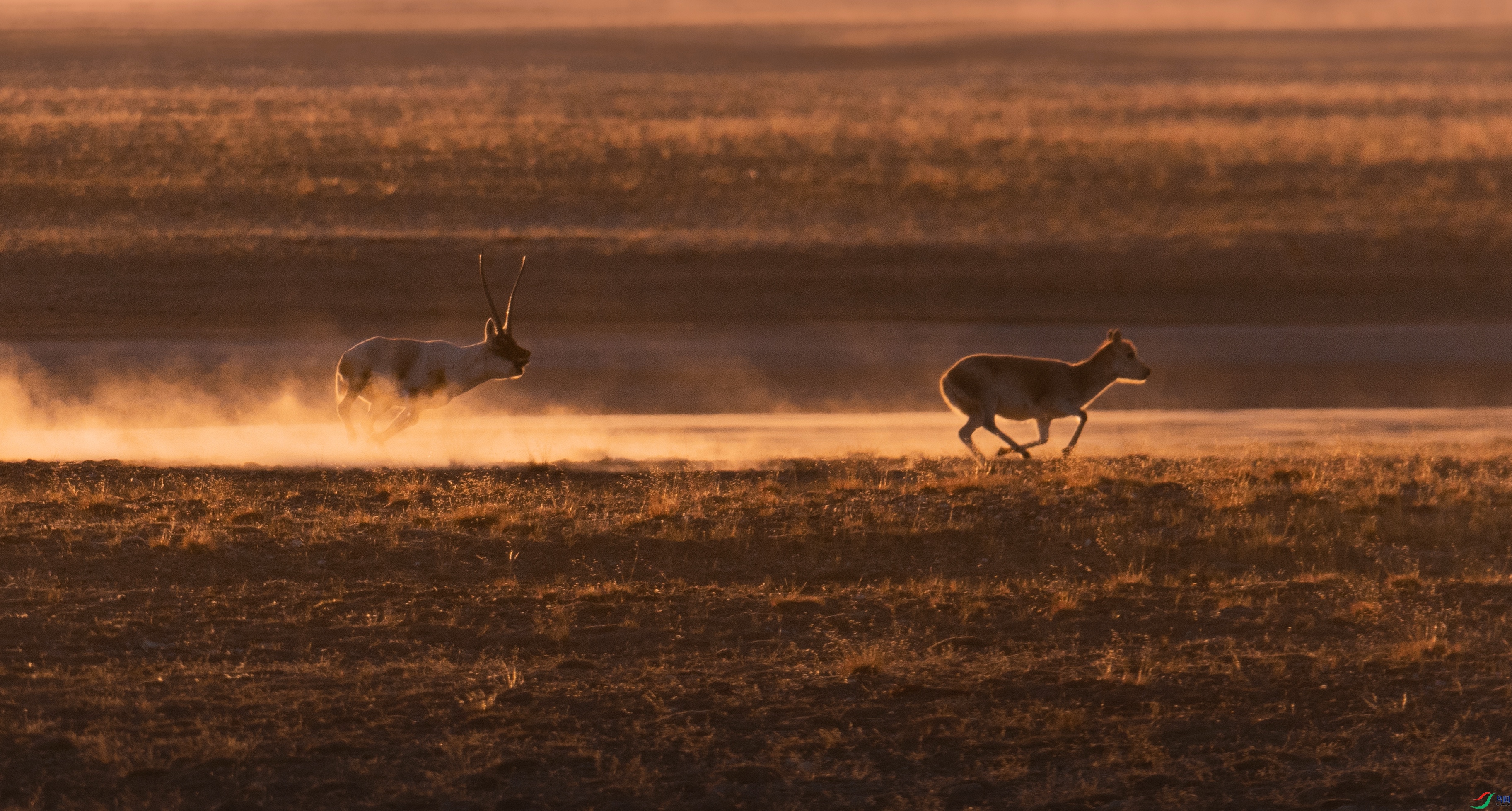 7X5A3462 - ����.jpg