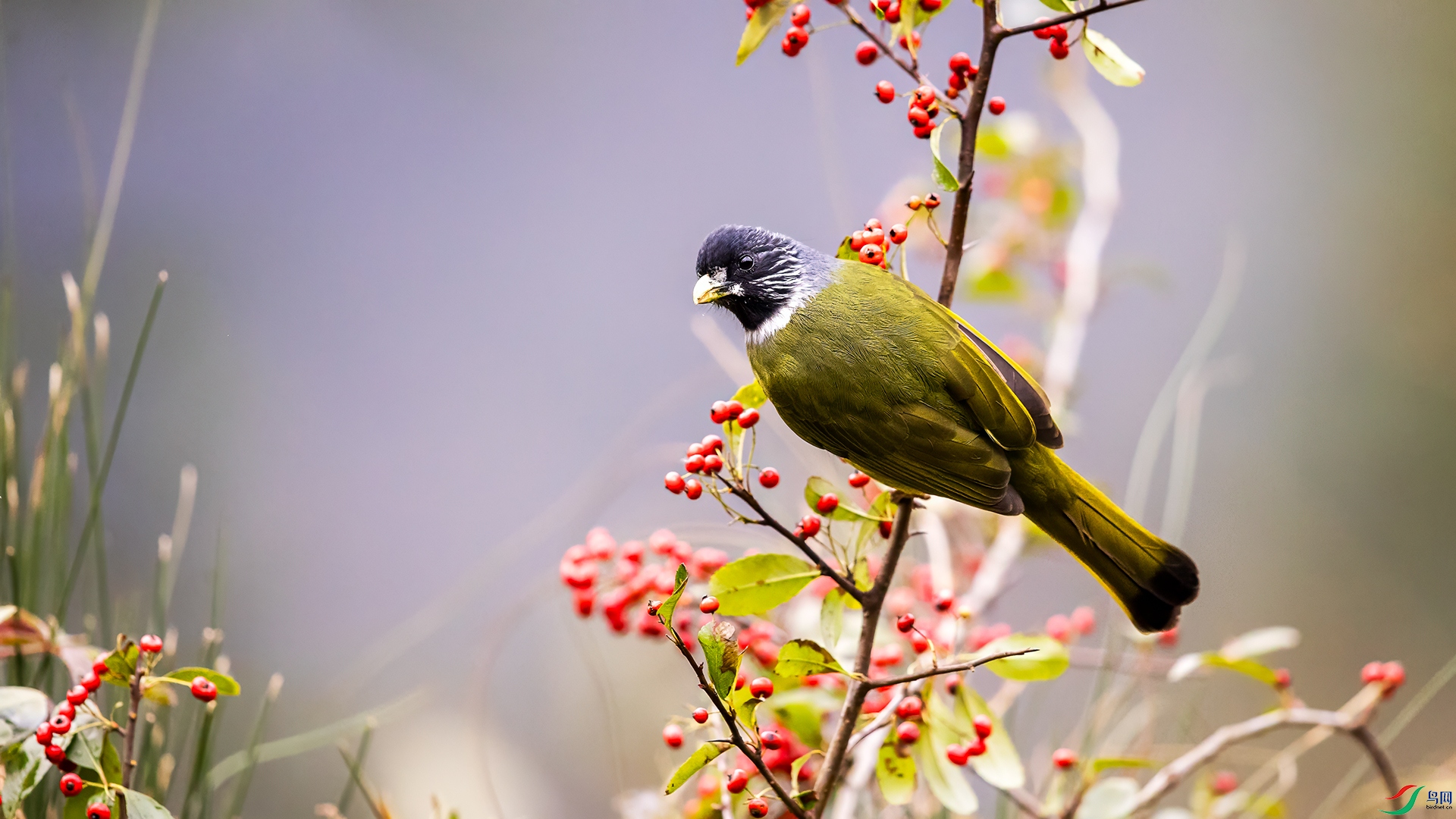 IMGL3881 ����.jpg