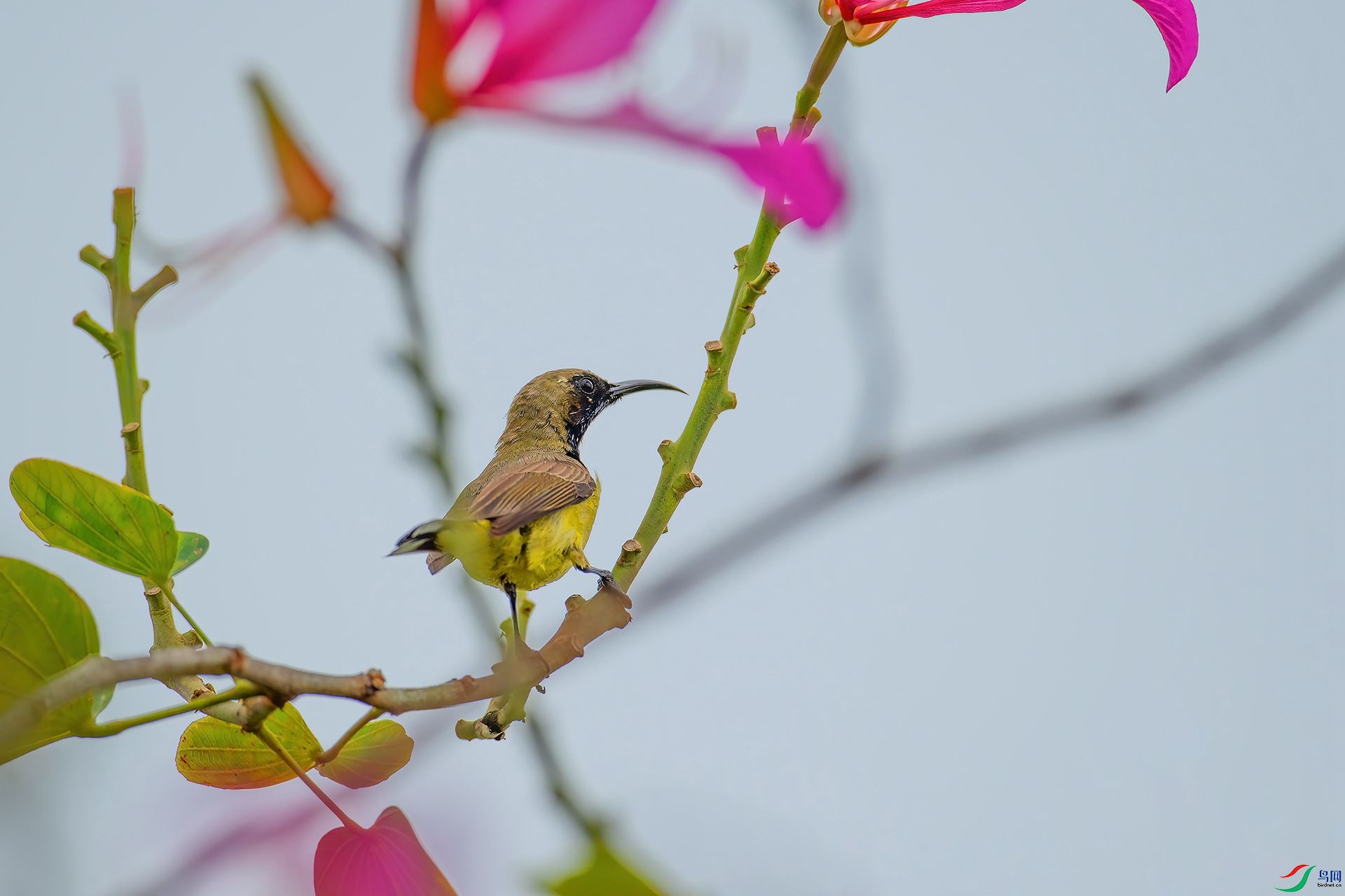 DSC_4166.jpg