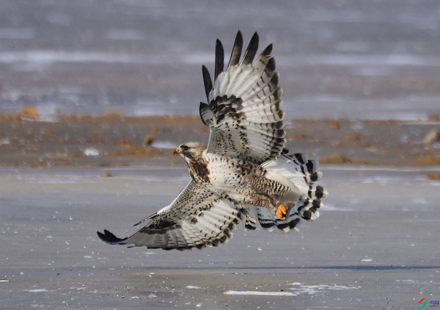 ë������