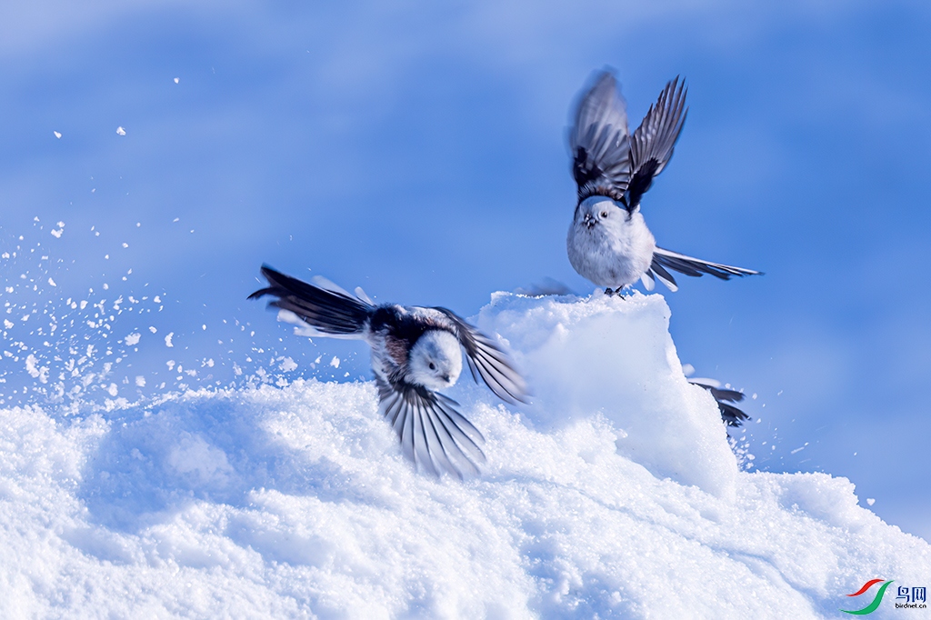 hljdqR231221 (1305).jpg