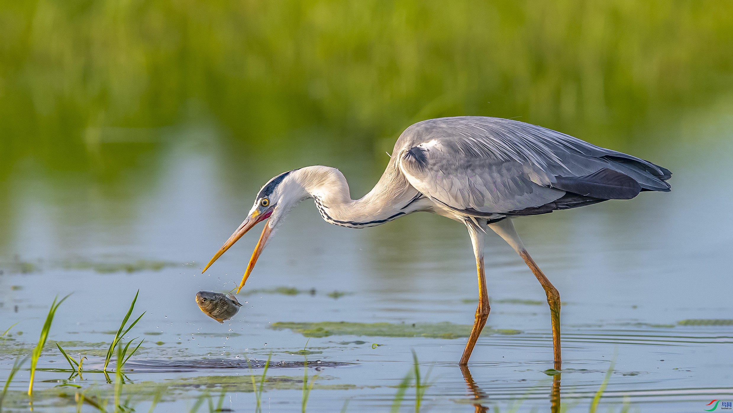 3439 ����.jpg