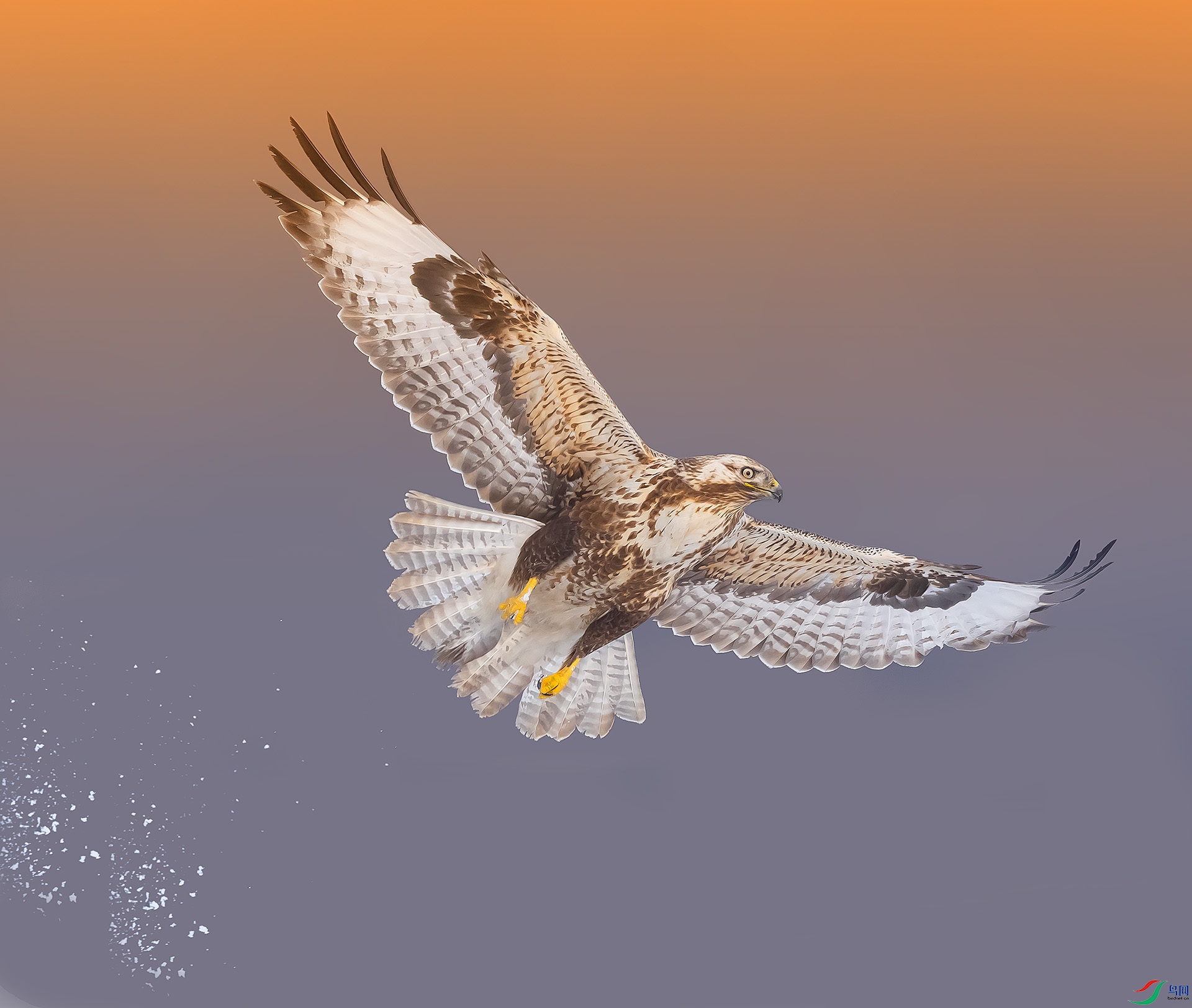 019A6048 ����.jpg