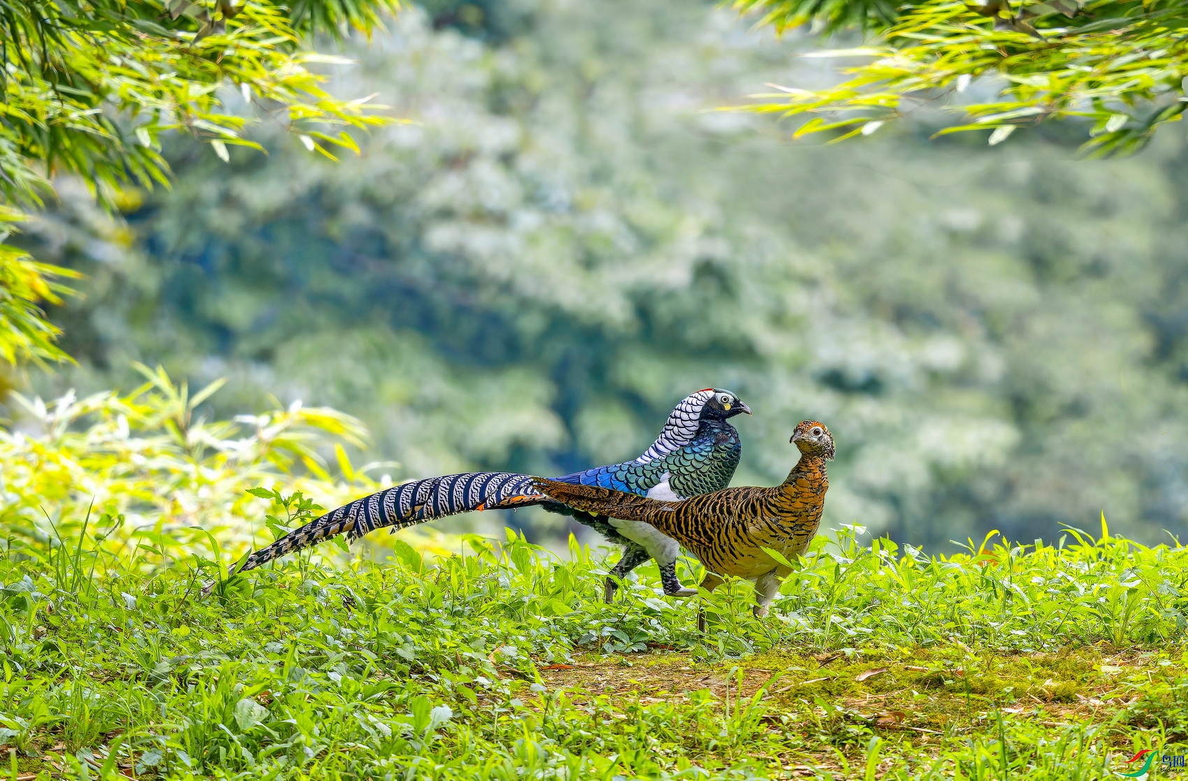 �׸����� (5)-1.jpg