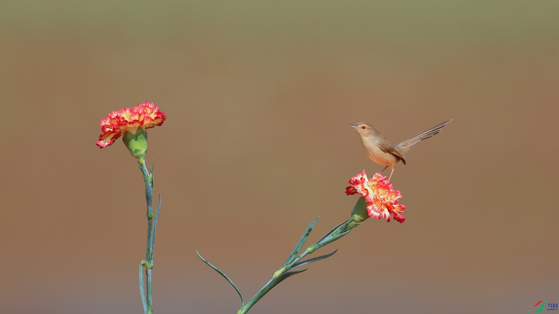 1M6A4000 ����_����.jpg