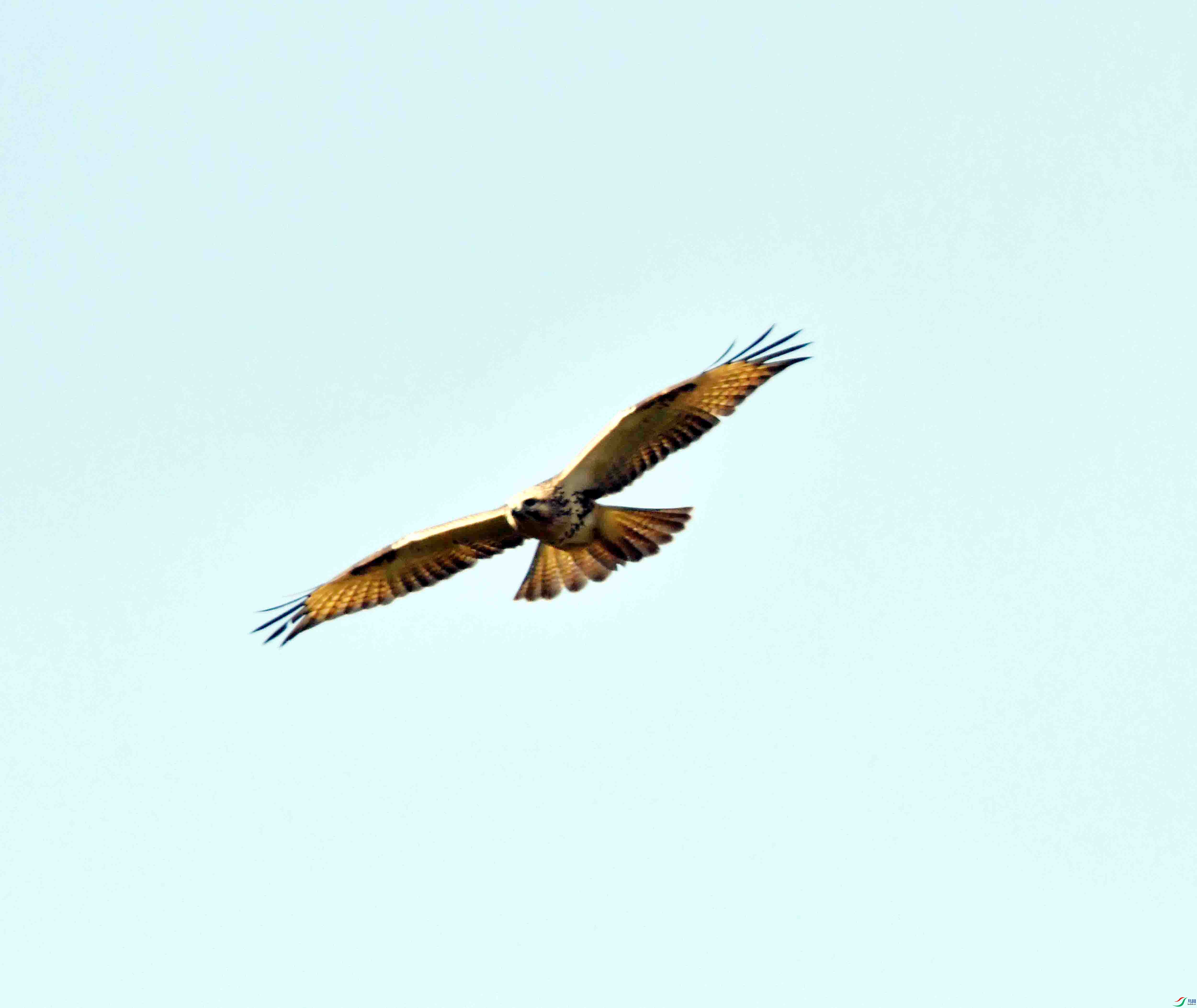 DSC_0545.JPG