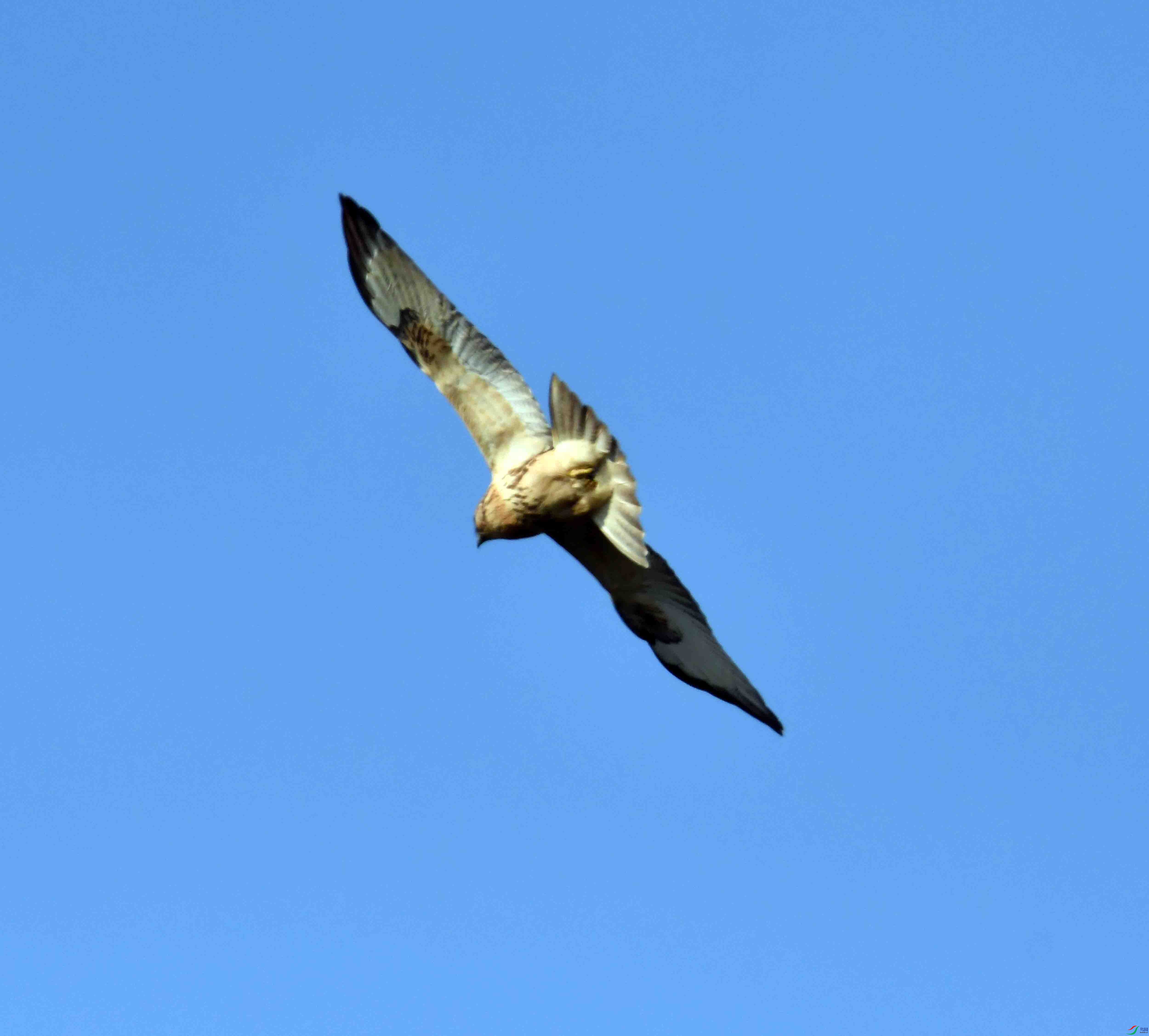 DSC_0548.JPG