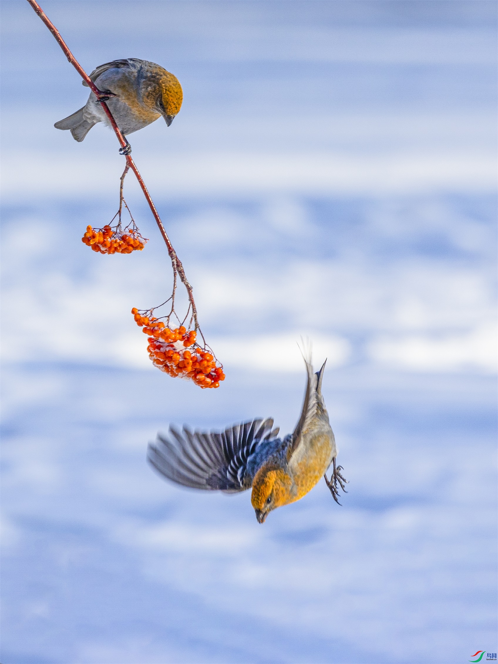 1K3A7632 ����1.jpg