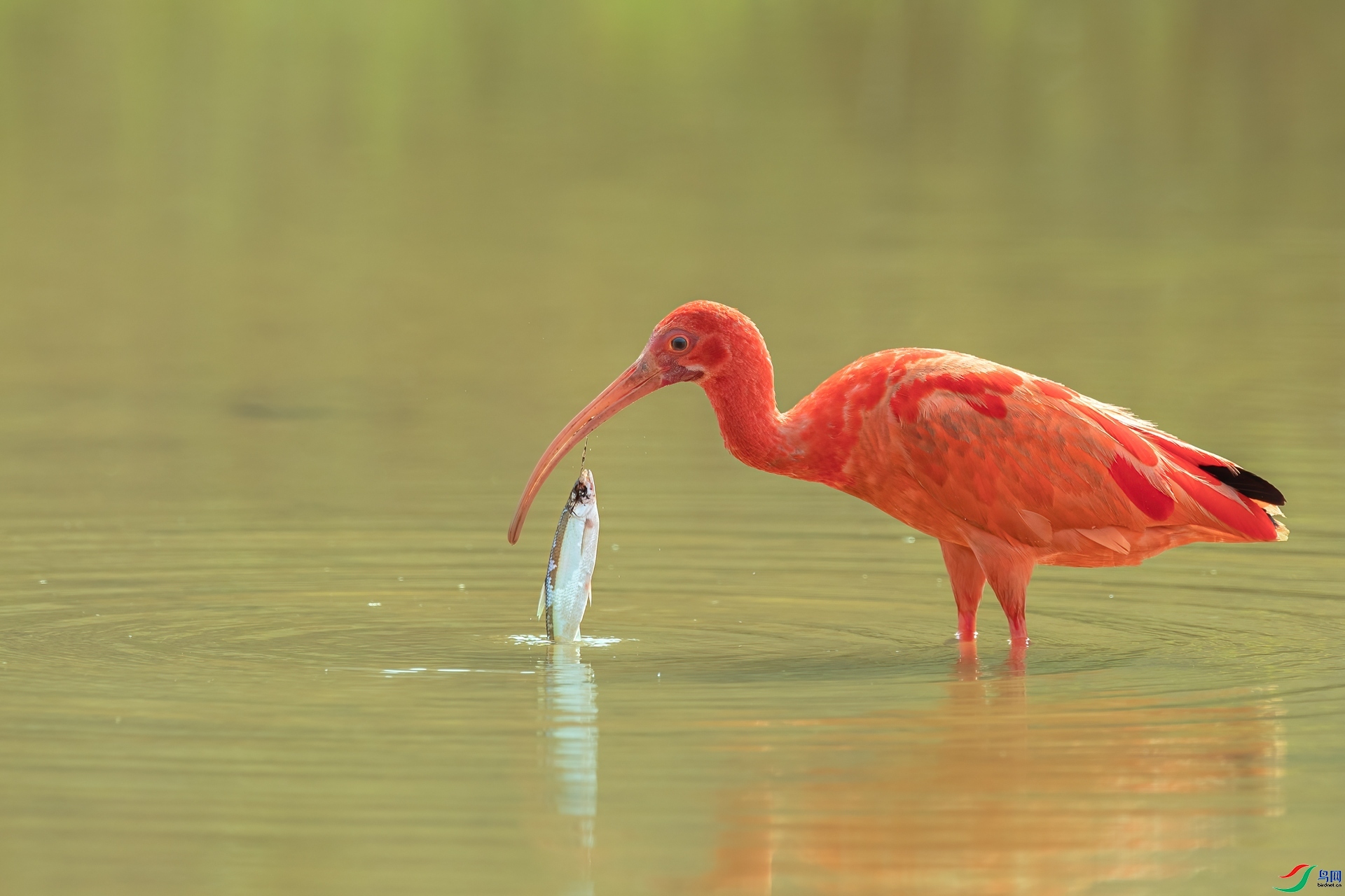 ���q����  ���� ��ͽ  ��һ.jpg