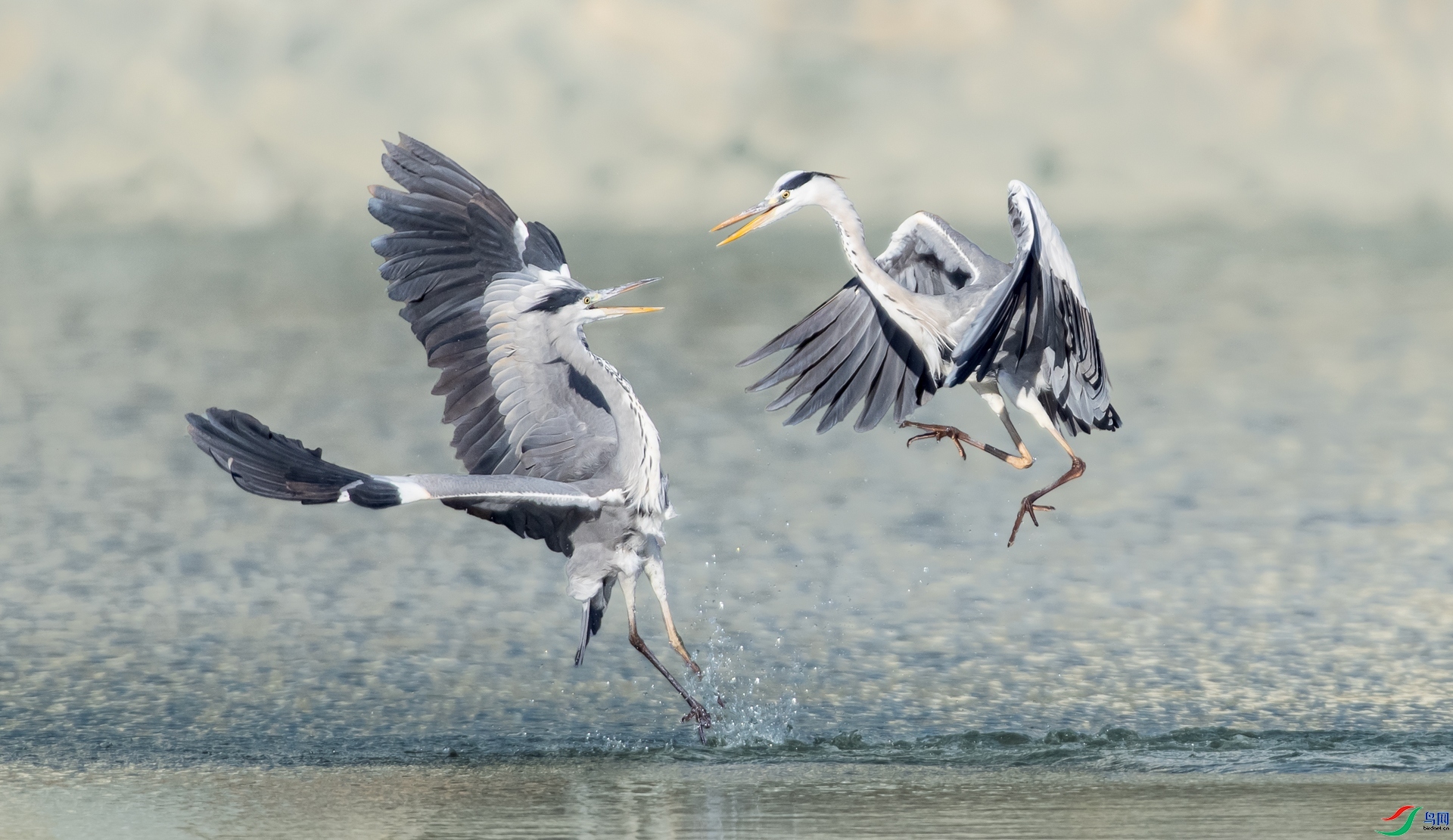 ˮ������ ���� ��һ.jpg