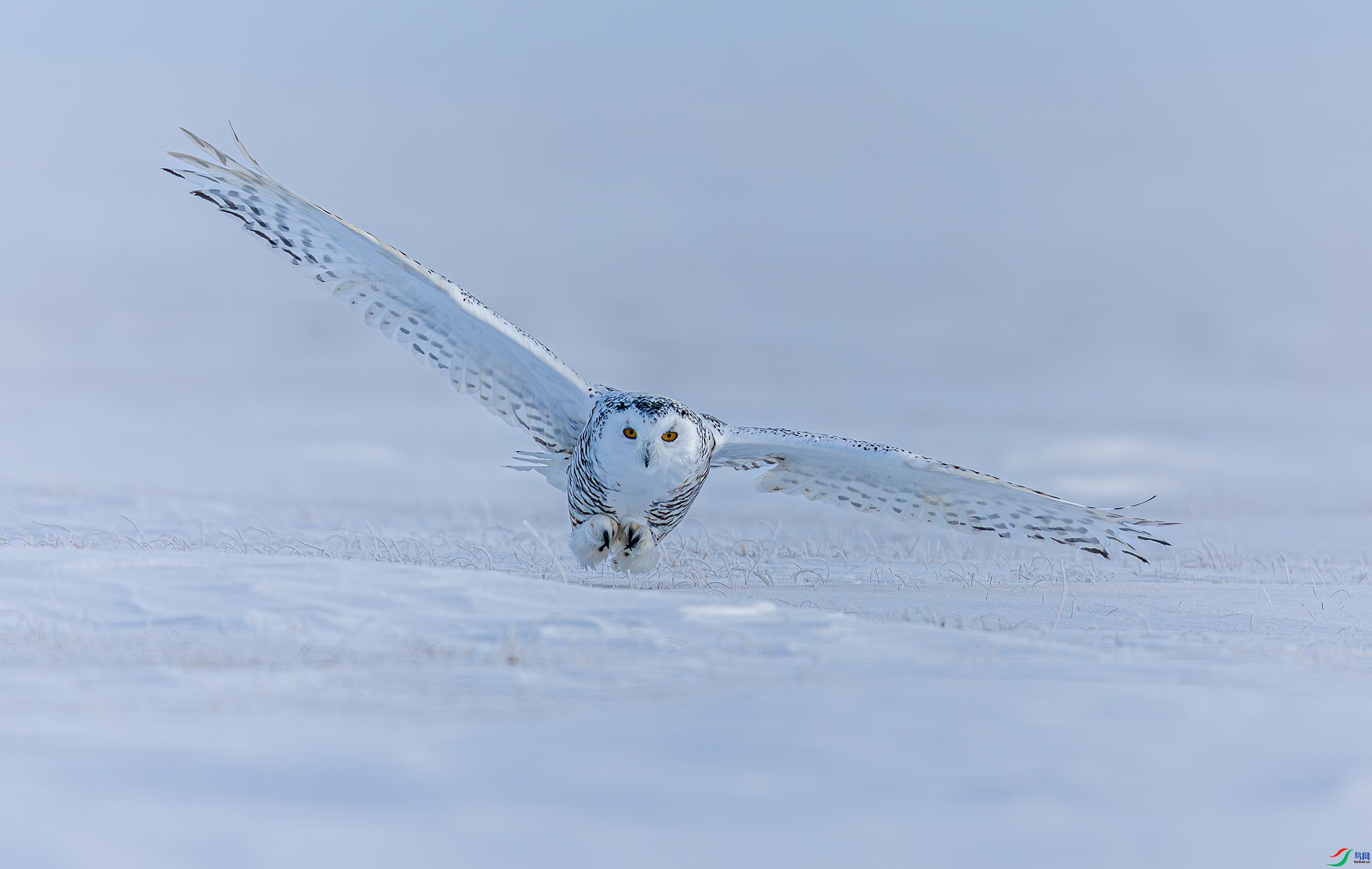 ��  ���� ƽ��  �ܶ�.jpg