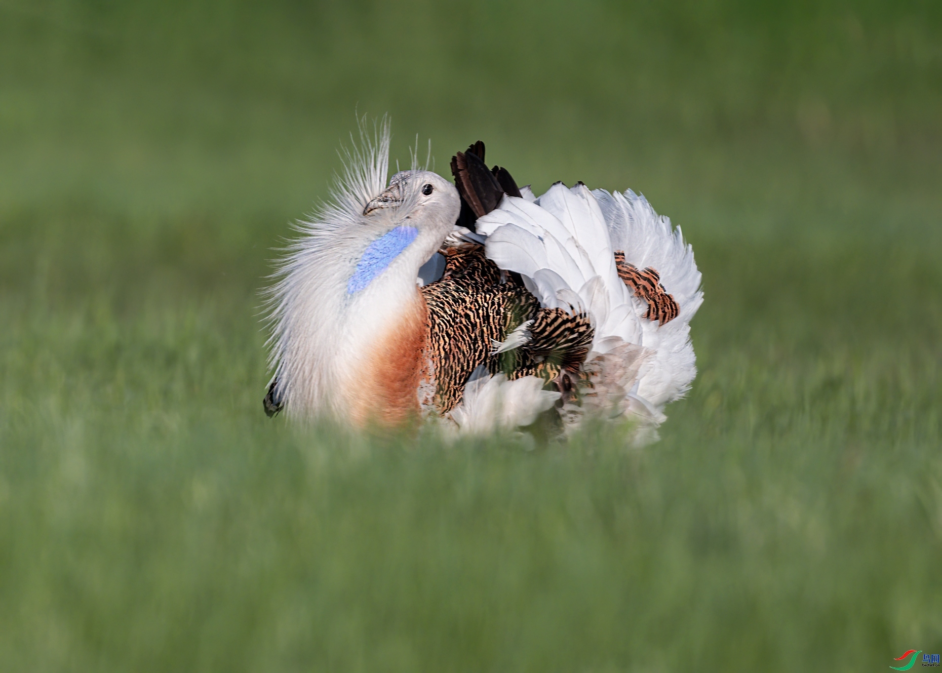 �̵ش��  ���� �ܴ�99  �ܶ�.jpg