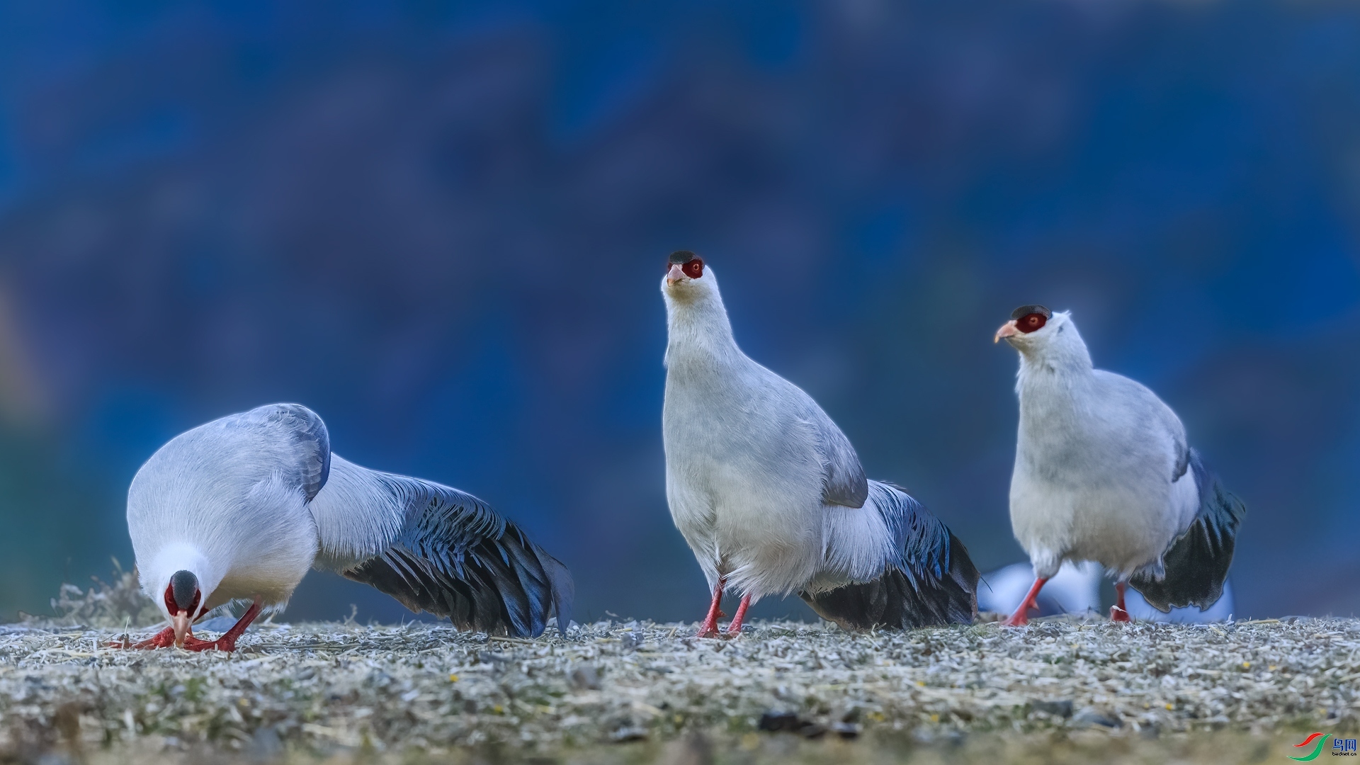 ������  ���� ��ͥ�Ų�yes  �ܶ�.jpg