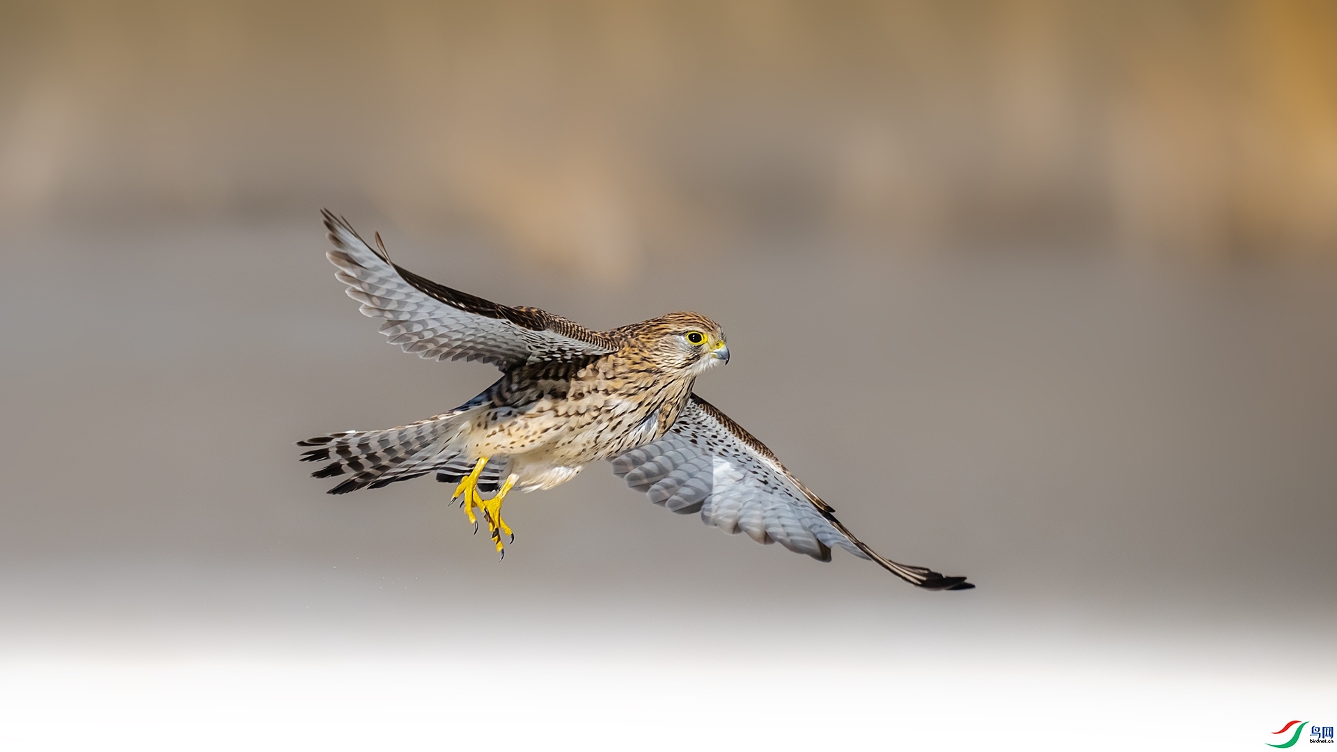 ������� ���� ����  ����.jpg