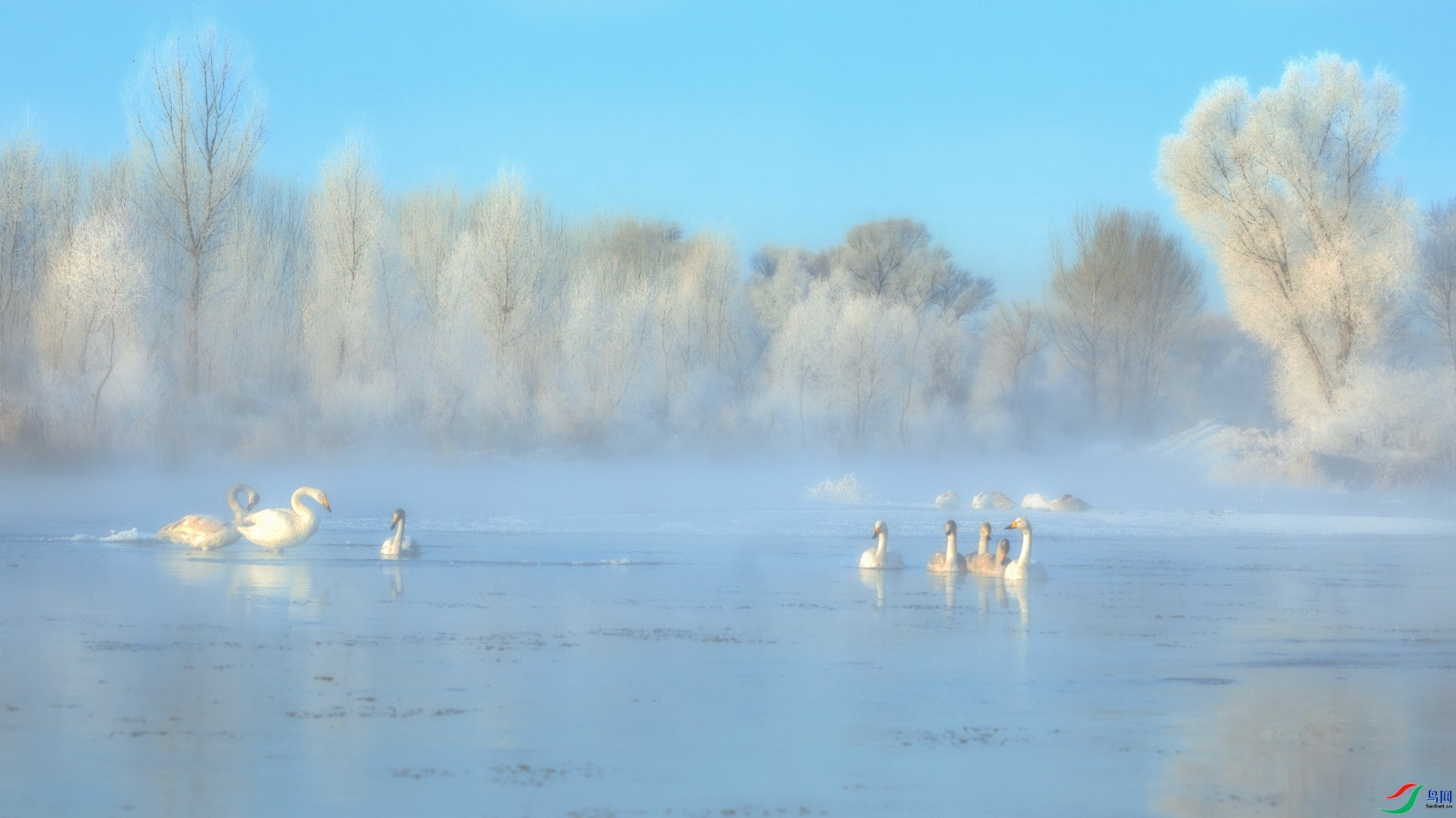 ����Ĺ���  ���� ��־���� ����.jpg