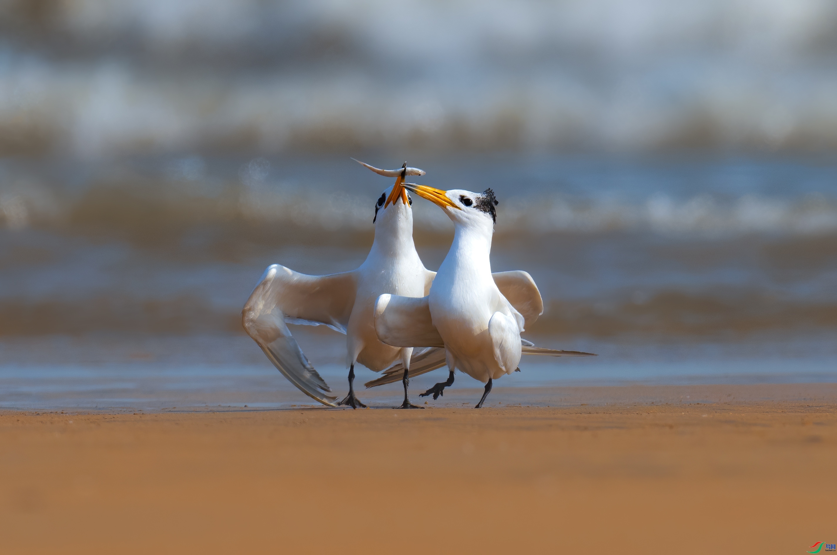 �����Ұɡ� ���� ��������  ����.jpg