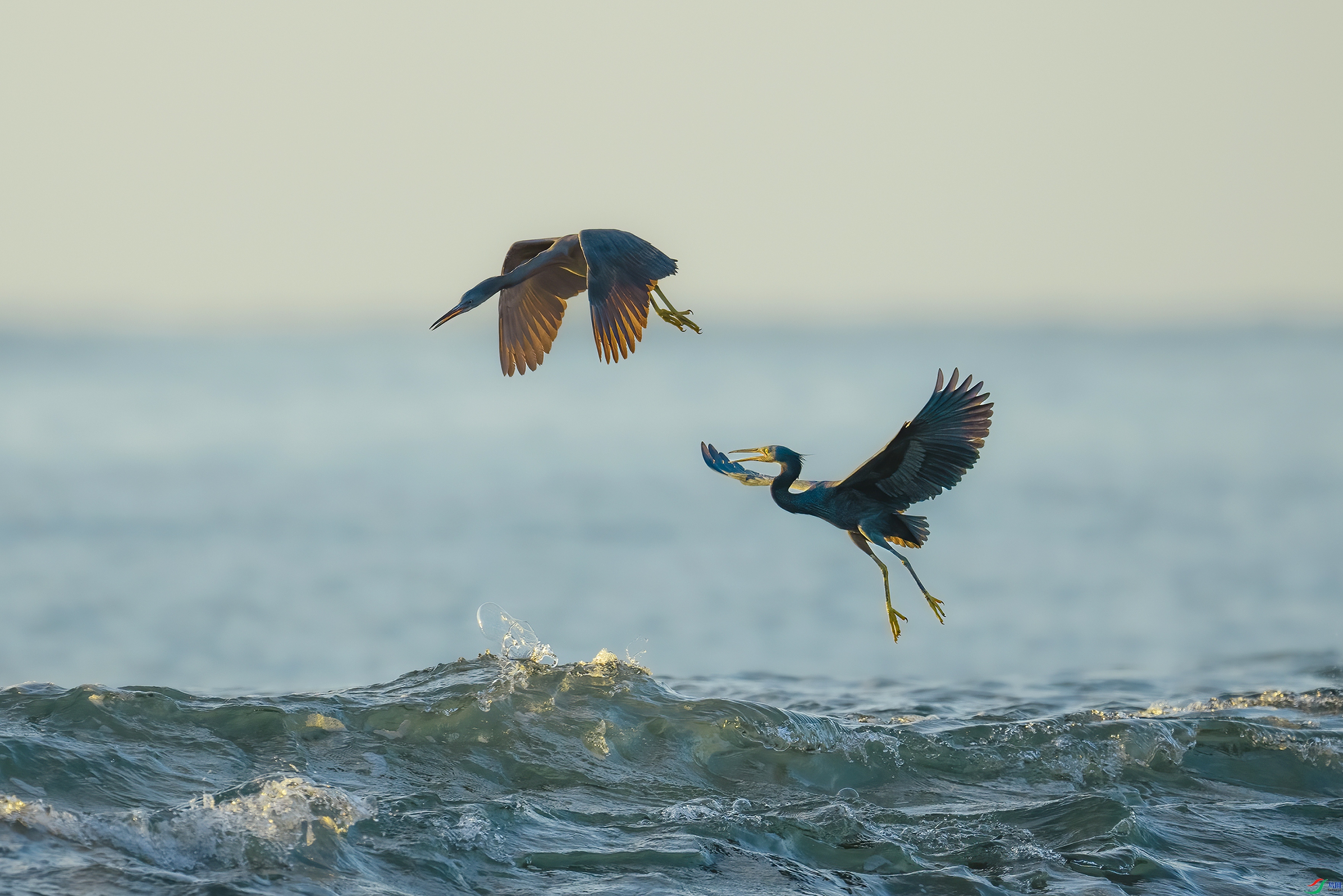 ׷�� ���� ����· ����.jpg